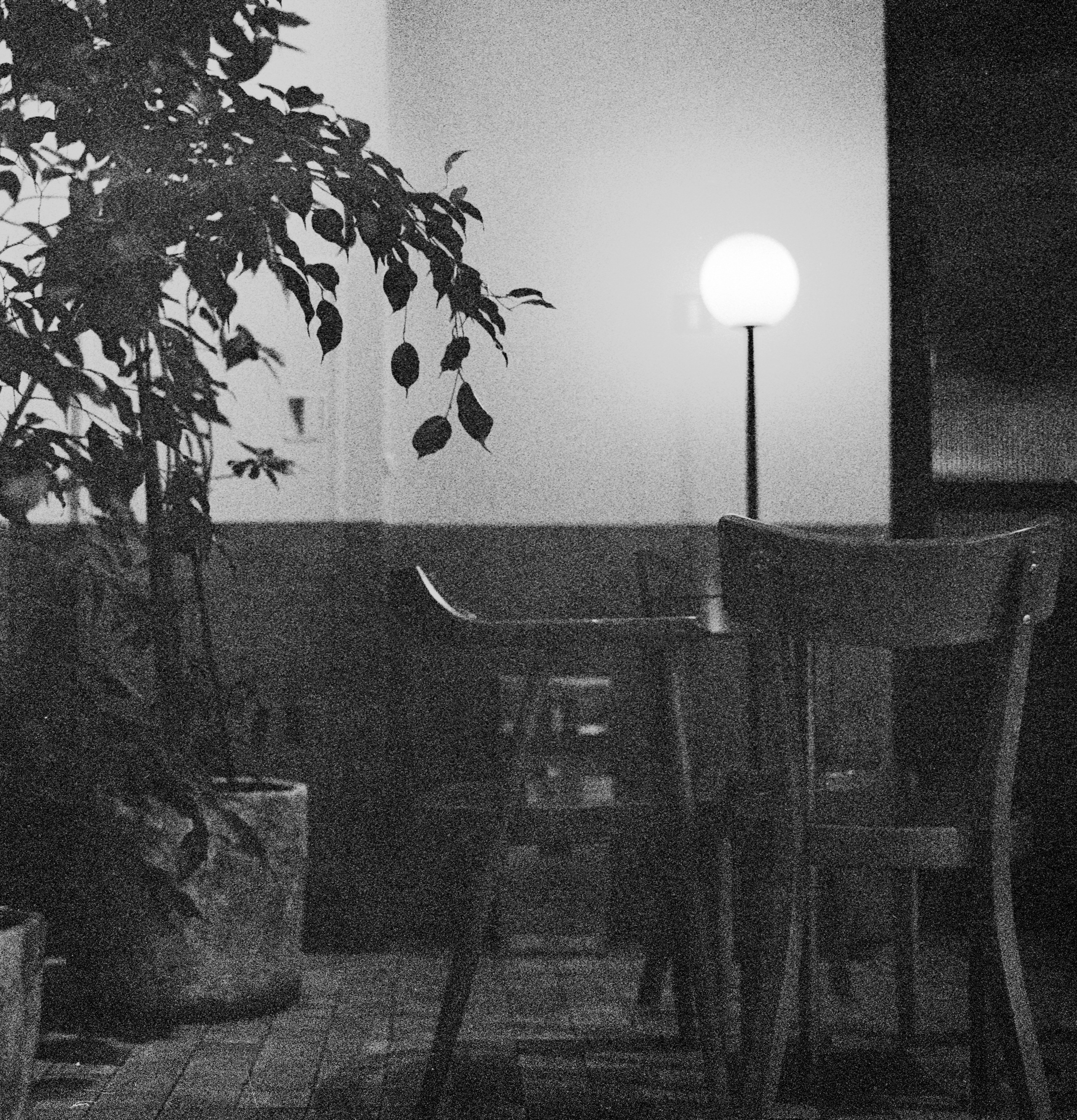 Альбом «Скуратов» г. Санкт-Петербург. Проект «Проявленные в кофе»