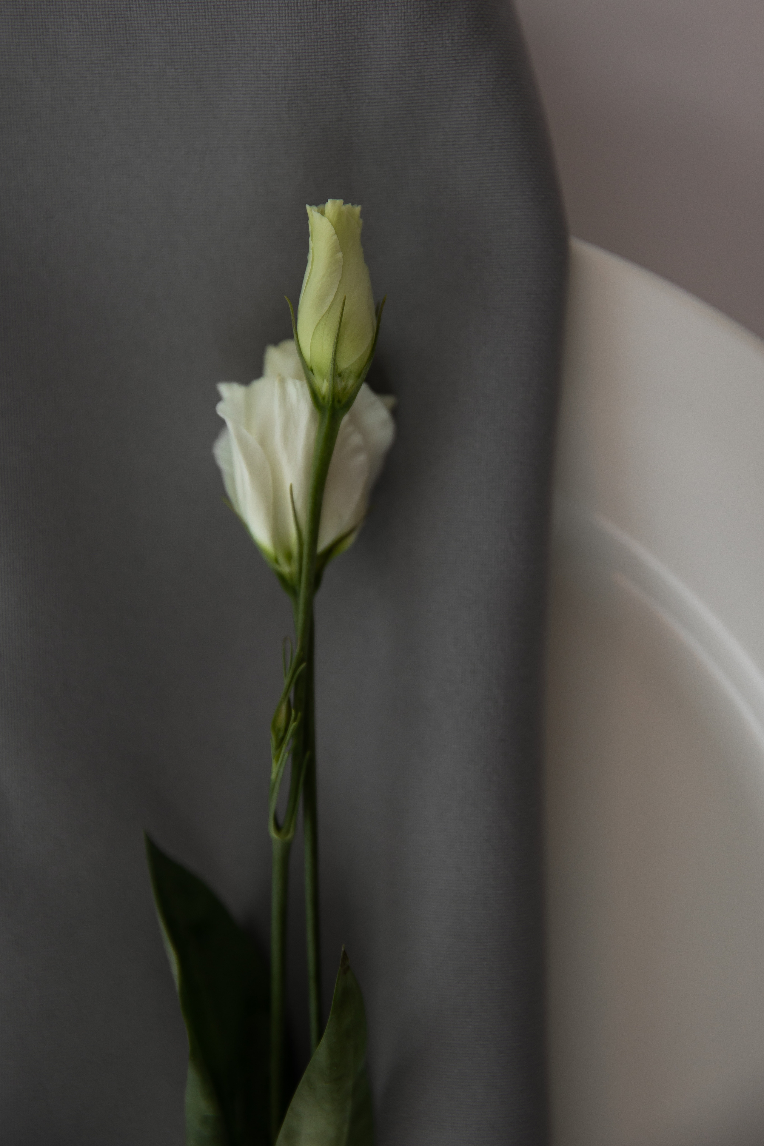 Свадебная фотосессия Полины и Лёши в городе Самаре. Свадебный и семейный фотограф в Самаре и Тольятти | Елена Топанцева