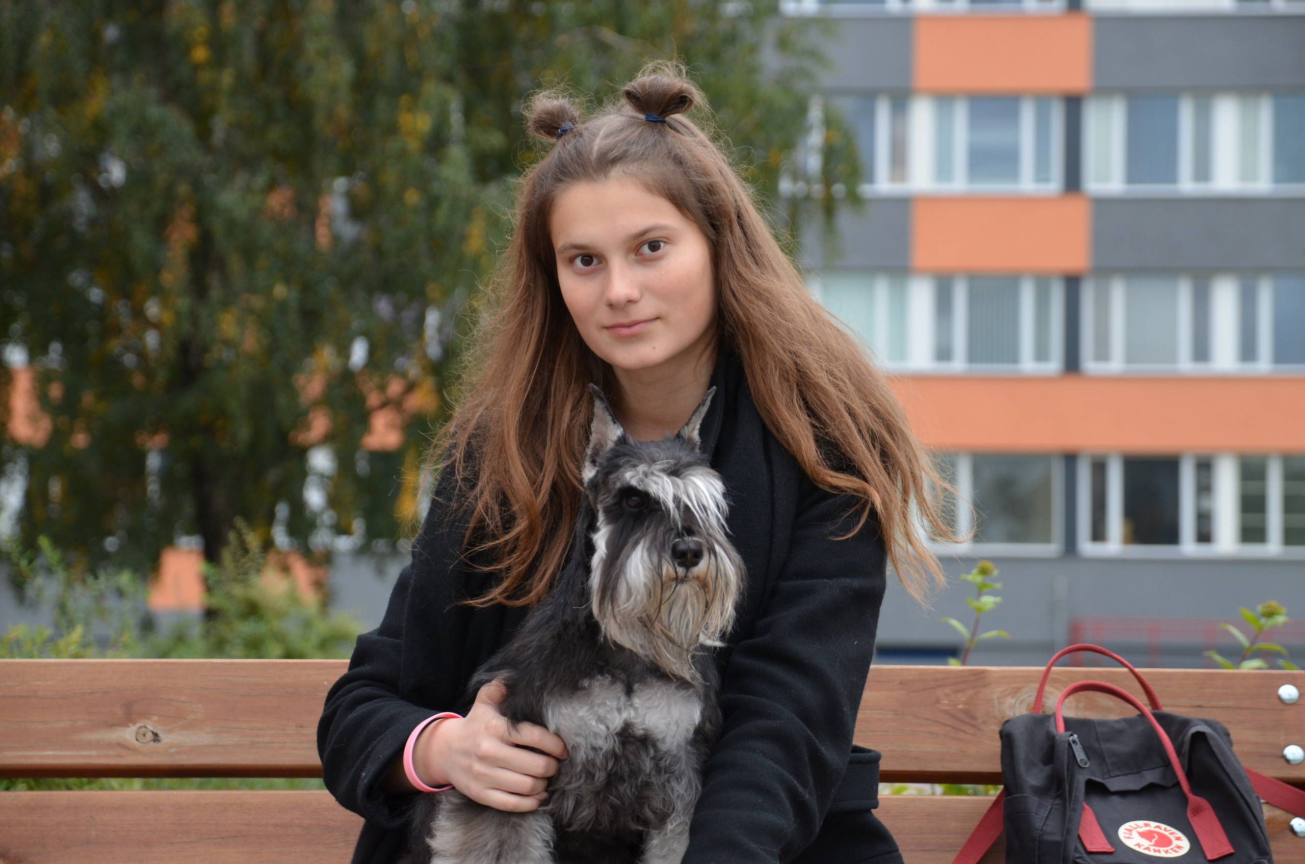 Питомник Делинсо Бэлэнс, щенки цвергшнауцера, купить щенка цвергшнауцера, питомник цвергшнауцеров, кобель цвергшнауцера для вязки, щенок цвергшнауцера, питомник цвергшнауцеров, черный с серебром, цверг, лучший питомник в беларуси, питомник цвергшнауцеров минск