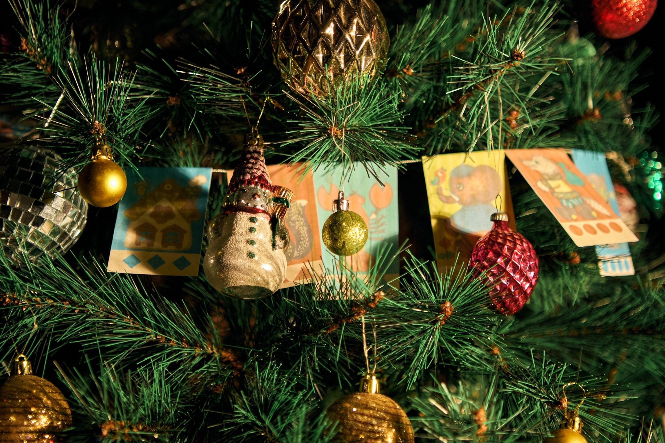 Фотостудии г.Липецк. Фотограф Екатерина Лёвушкина