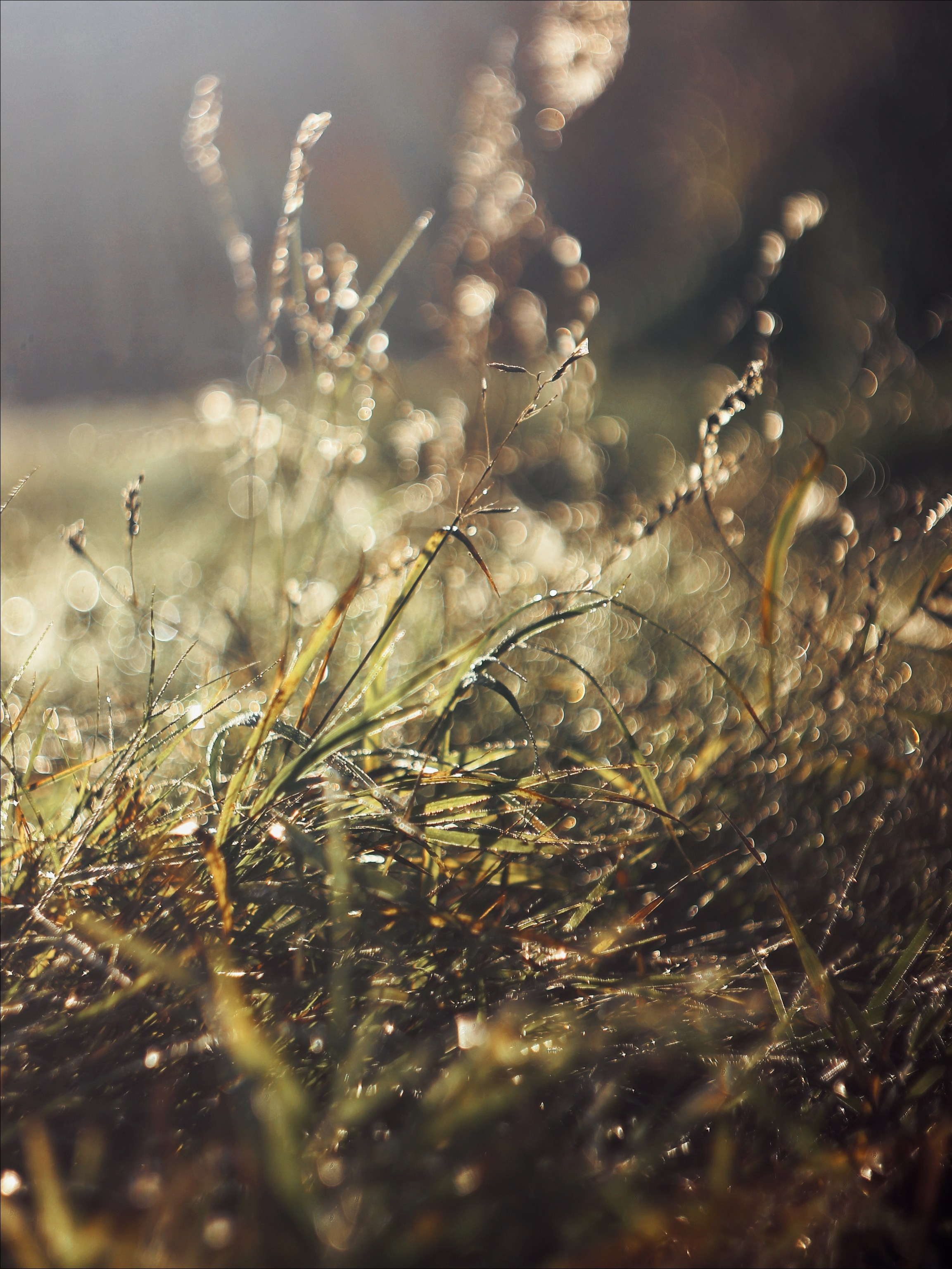 Опустошенность. С любовью, фотохудожник
