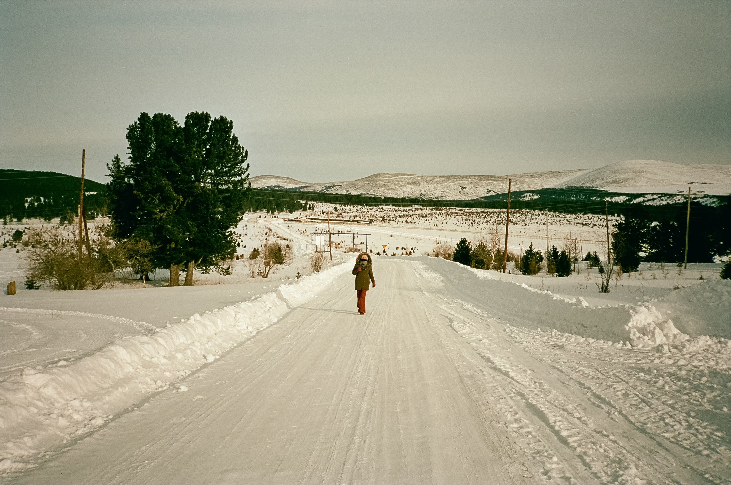 Семинский перевал / 19 декабря 2023 года (-18℃) / Kodak Aerocolor IV
