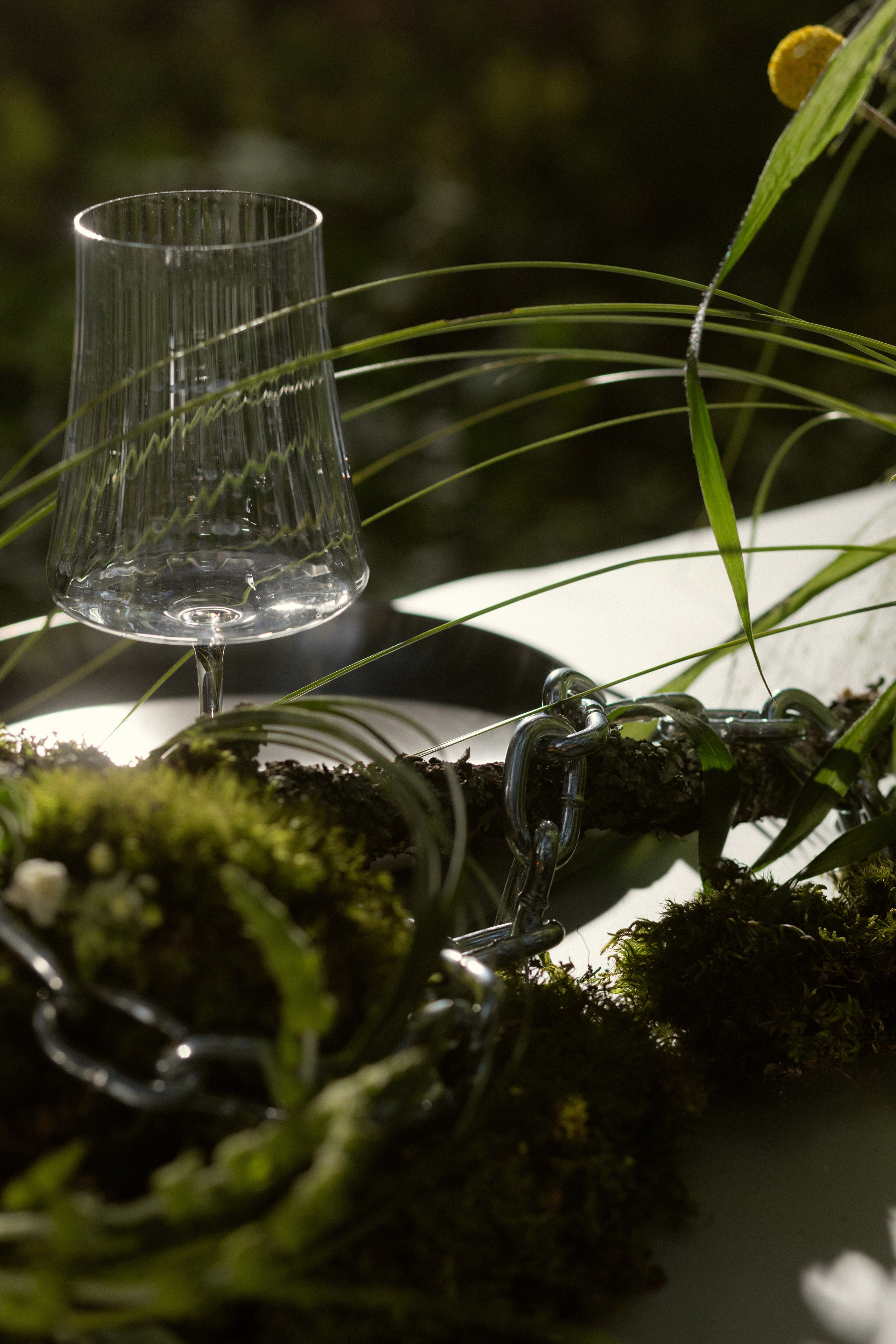 Свадебные рилсы /видео. Рилсмейкер — снимаю на телефон контент в разных форматах. Новороссийск и Краснодарский Край