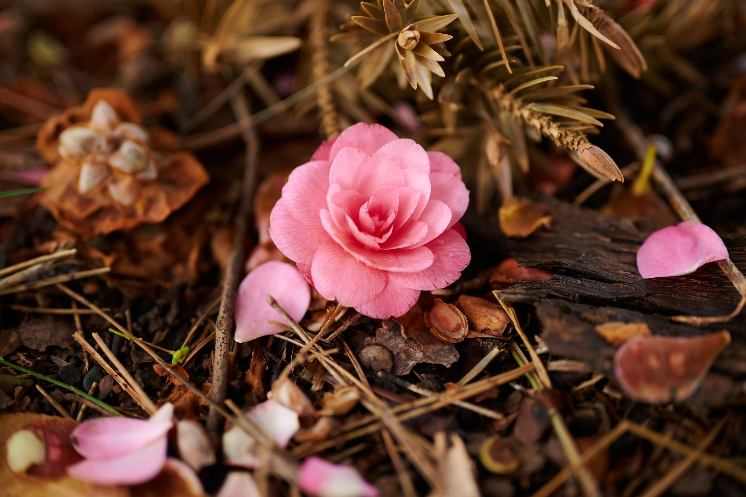 Photographer Yulia Lushnikova, Based in Valencia