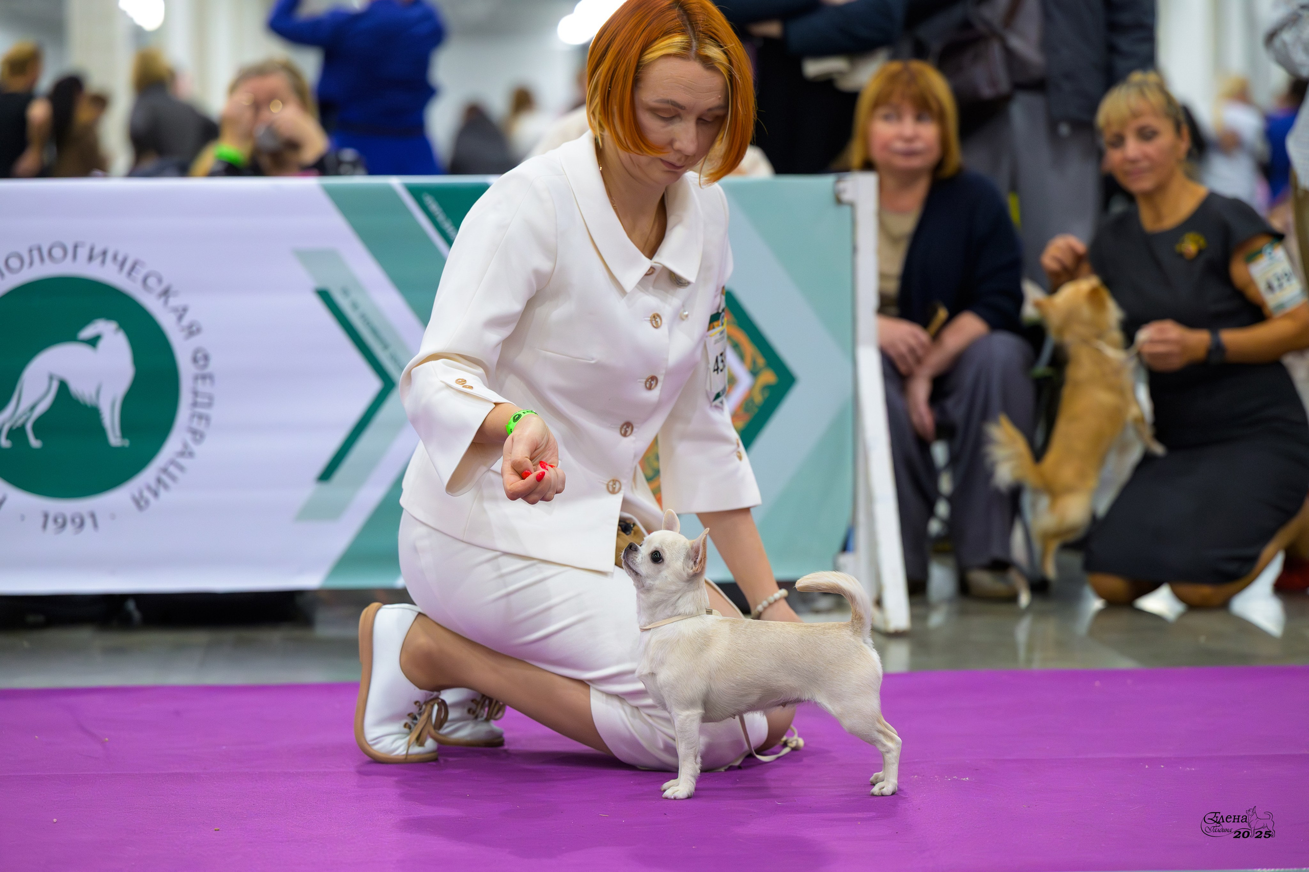 15-16.11.2025 ЕВРАЗИЯ г. Москва. Фотограф анималист Елена Галдина г. Красноярск