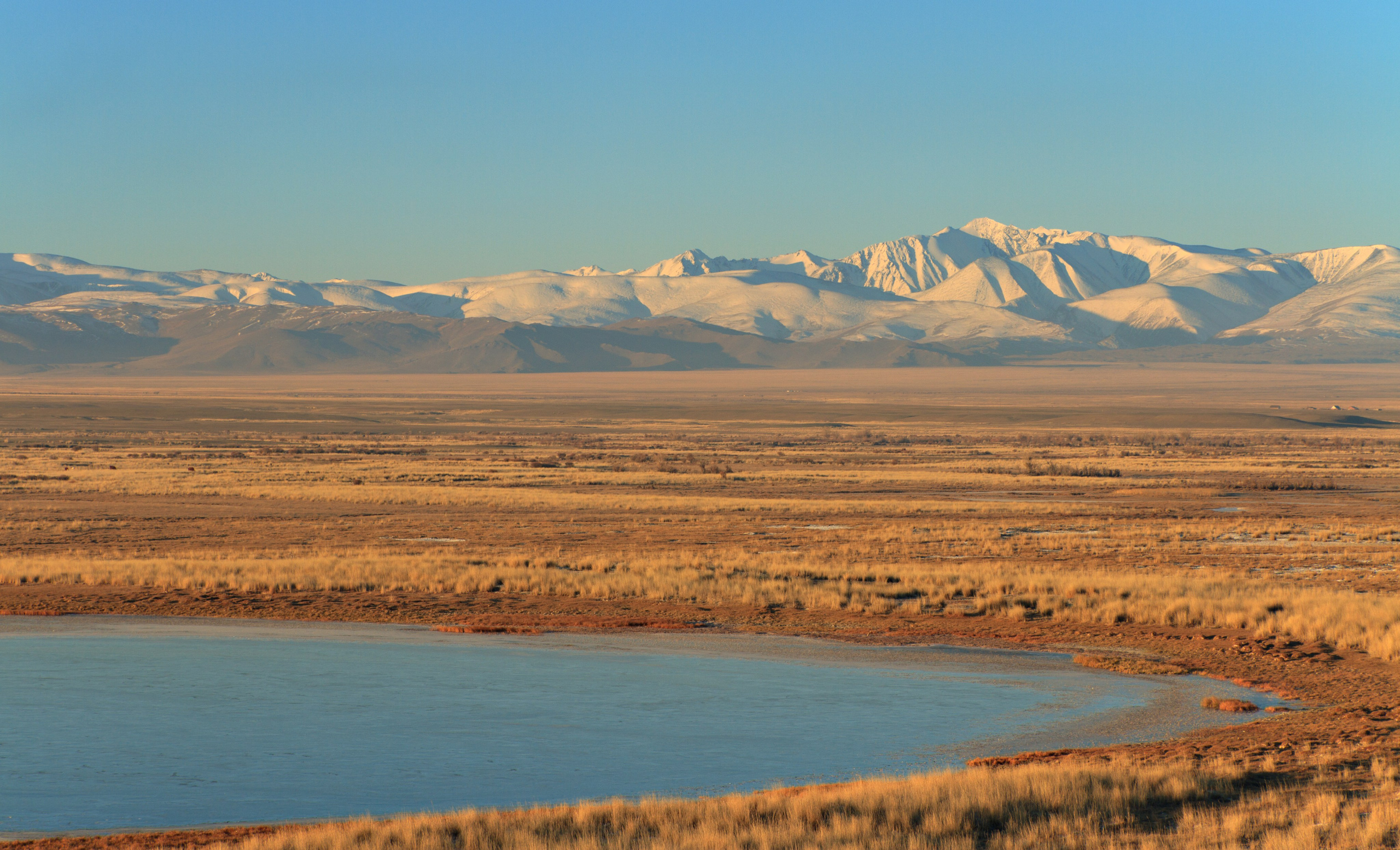 Подберу кадр под ваш интерьер и настроение. Фотограф Кирилл Мешков Кемерово