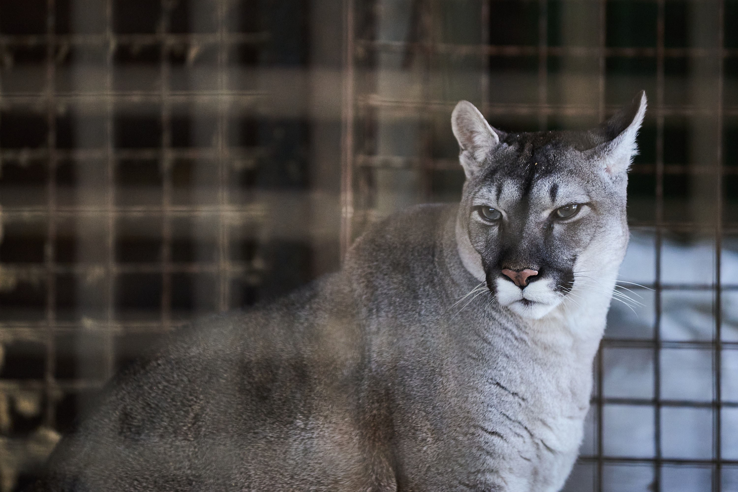 Зоопарк Иваново. Фотограф в Иваново: Каталожная съемка одежды и постельного белья, Wildberries