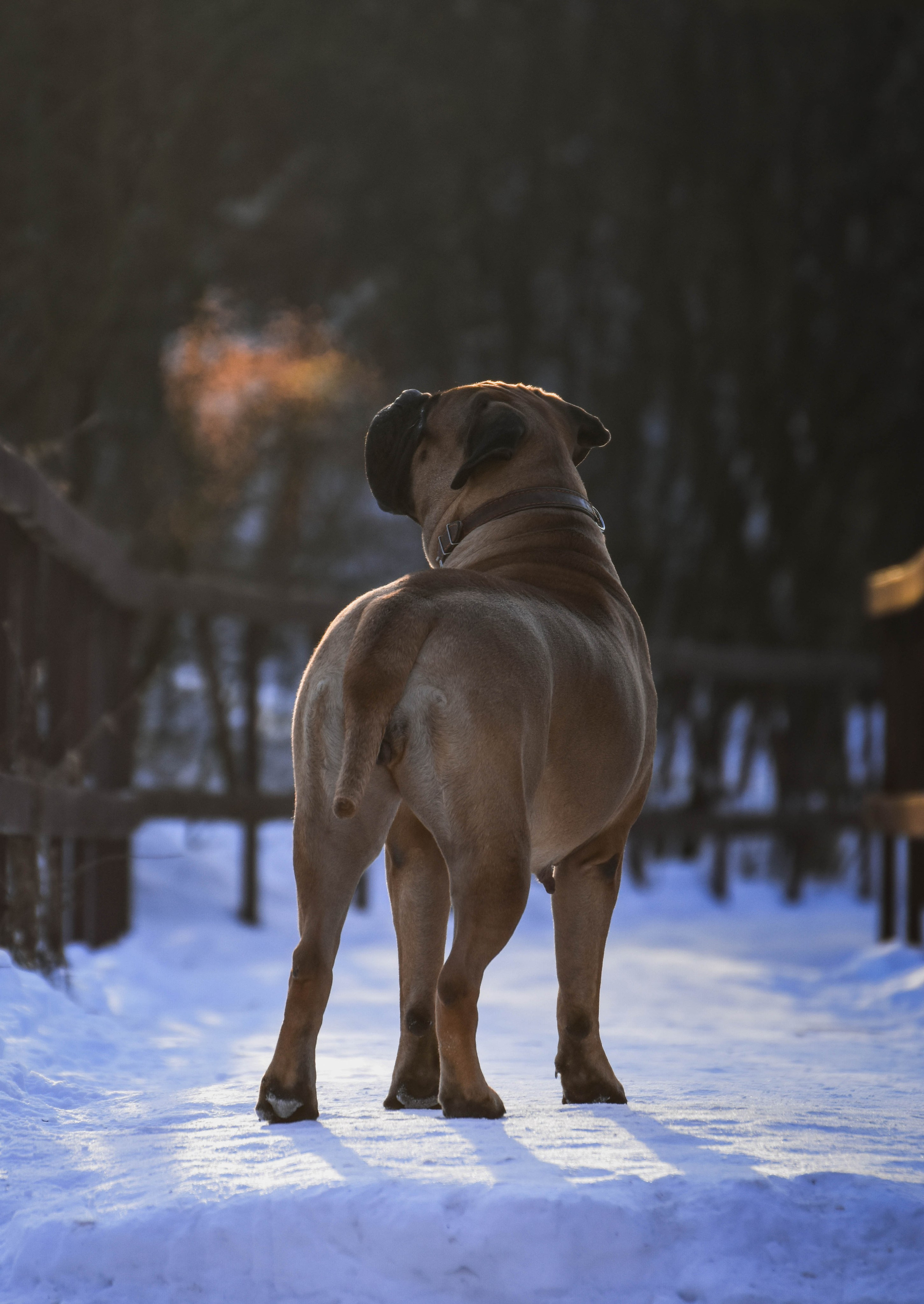 В созвучии с природой. Фотограф Светлана В. Пронина, Москва
