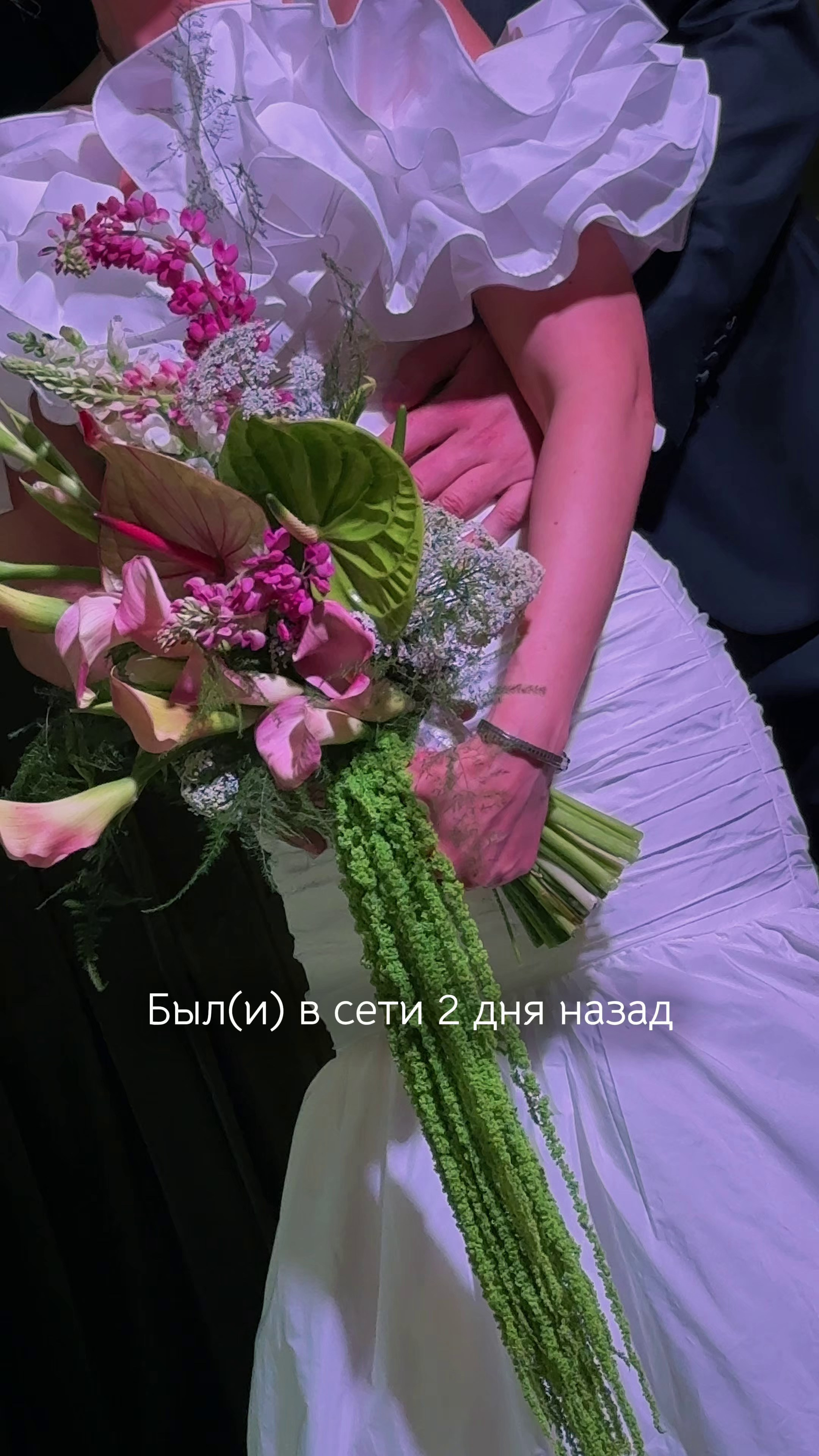 Портфолио. Рилсмейкер в г. Москва
