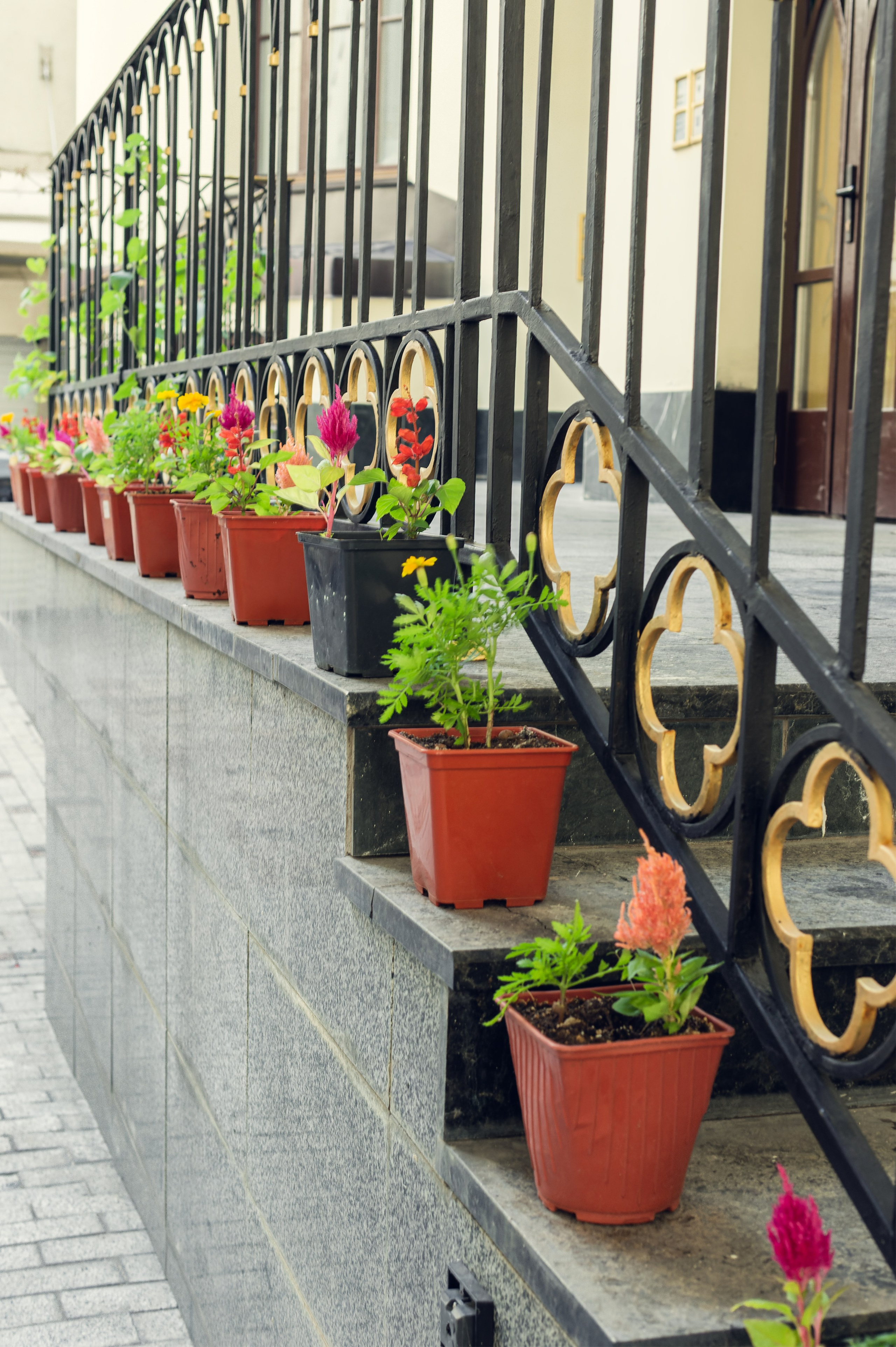 Фотограф на экскурсию Москва и Московская область