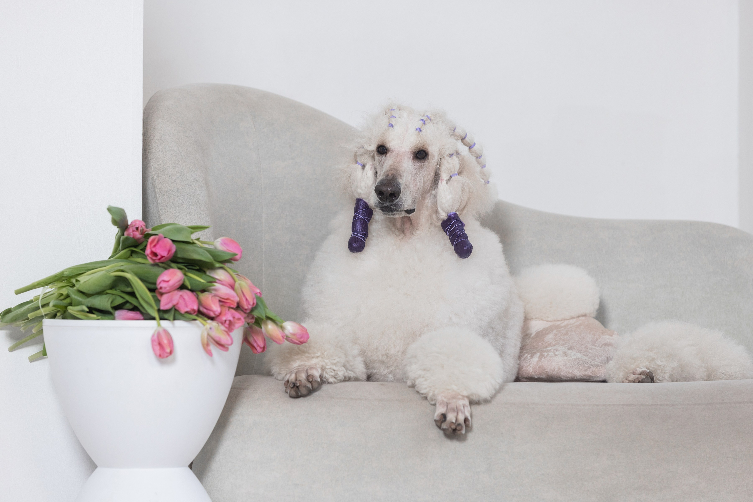 Фотограф Алена Звездина