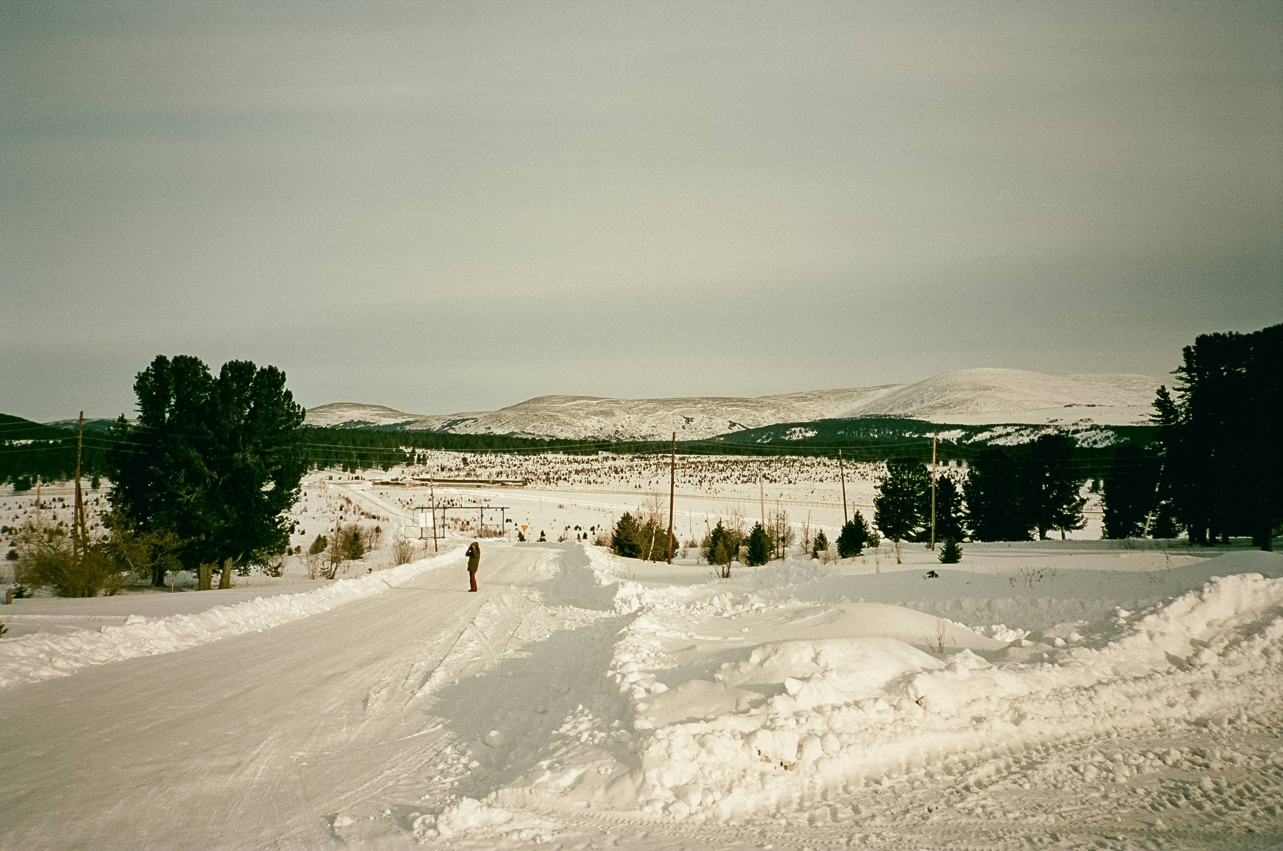 Семинский перевал / 19 декабря 2023 года (-18℃) / Kodak Aerocolor IV