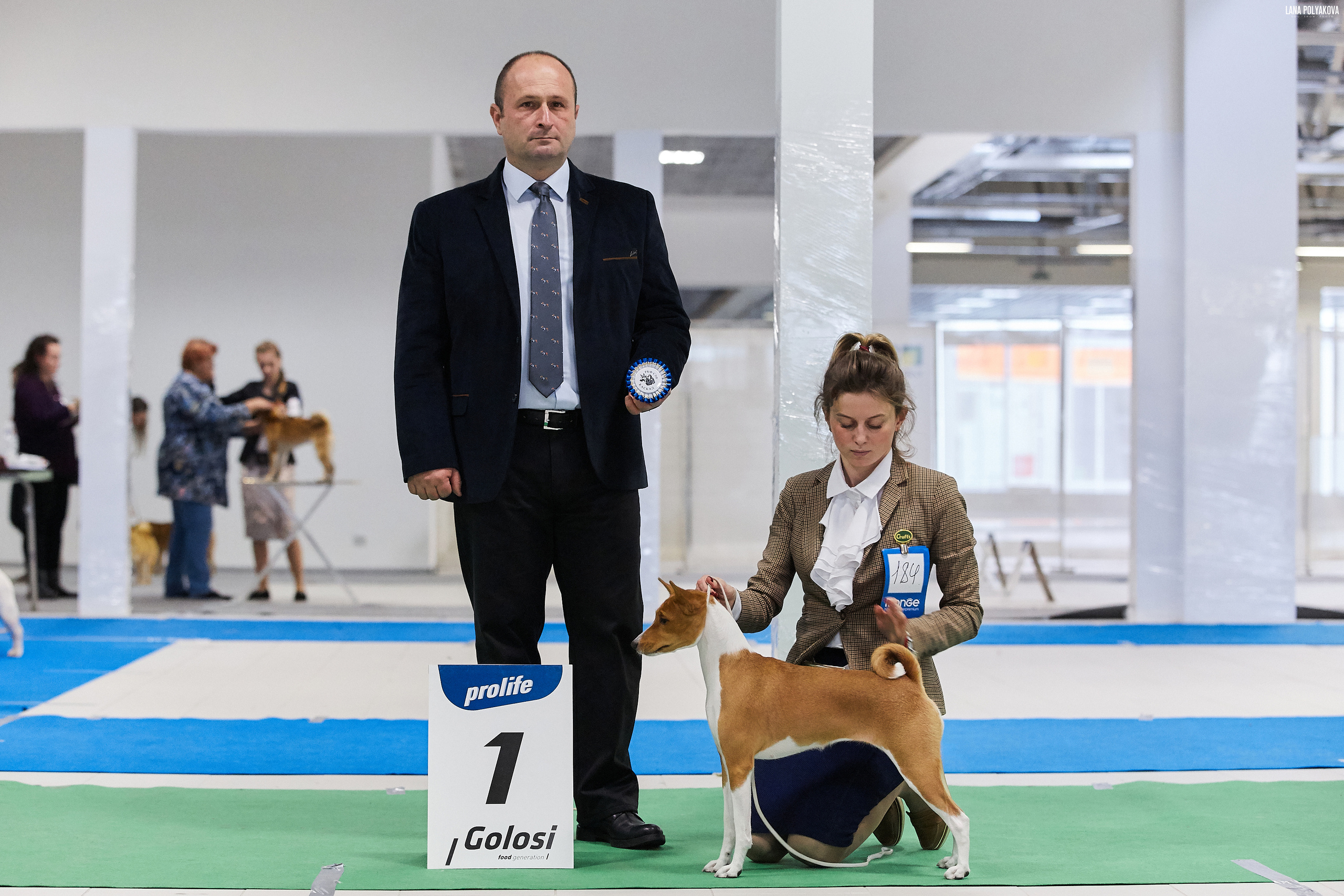 01.02.2020 фотоотчет от Ланы Поляковой. Центр развития кинологии Звезда Невы