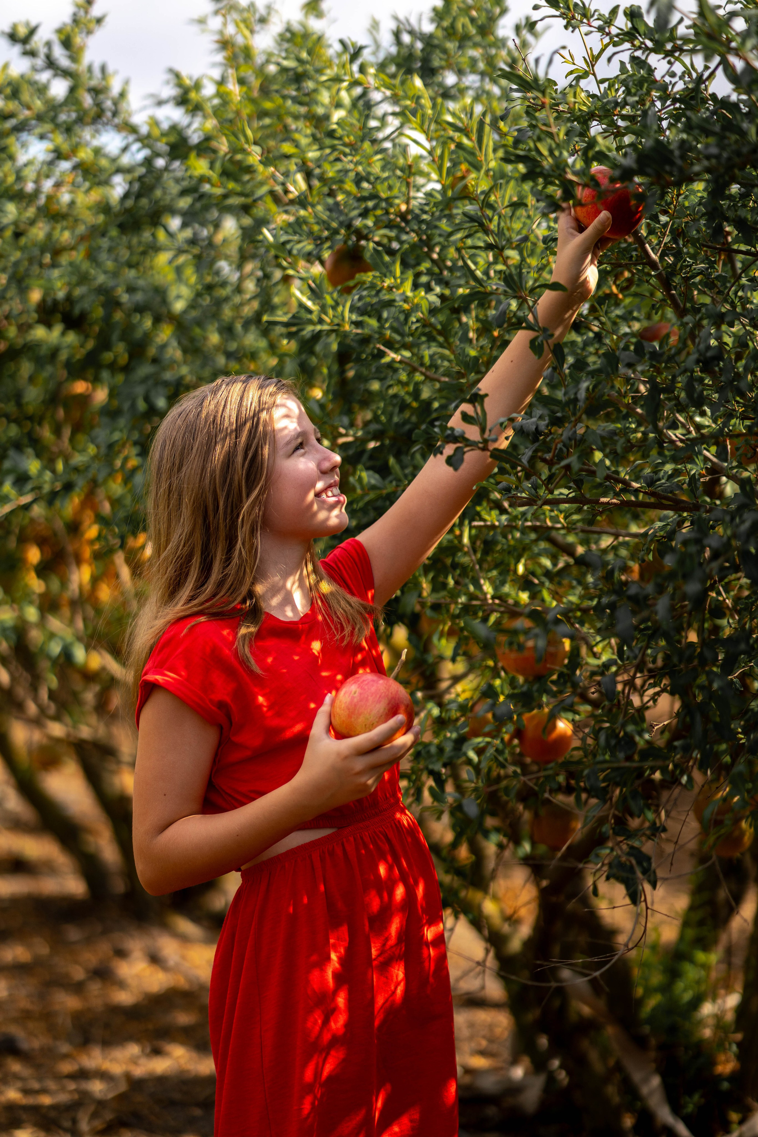 Гранатовый сад. Семейный и детский фотограф в Израиле и Москве Дорошок Надя