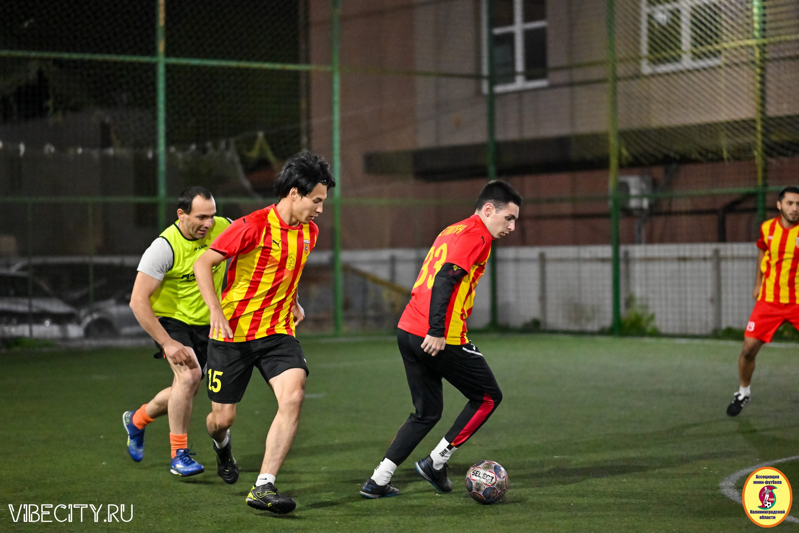 КУБОК ДРУЖБЫ. VIBECITY.RU Вайб Сити Ру Фоторепортажи Фотоотчеты Калининград