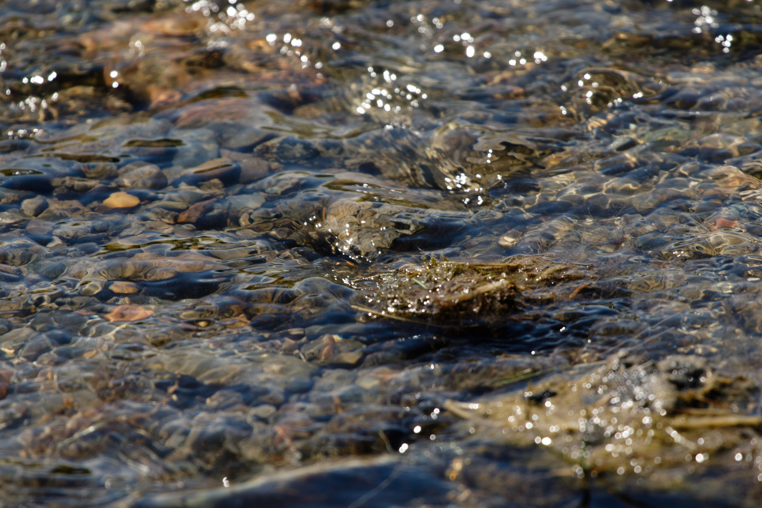 Горный Алтай. Фотограф Кирилл Мешков Кемерово