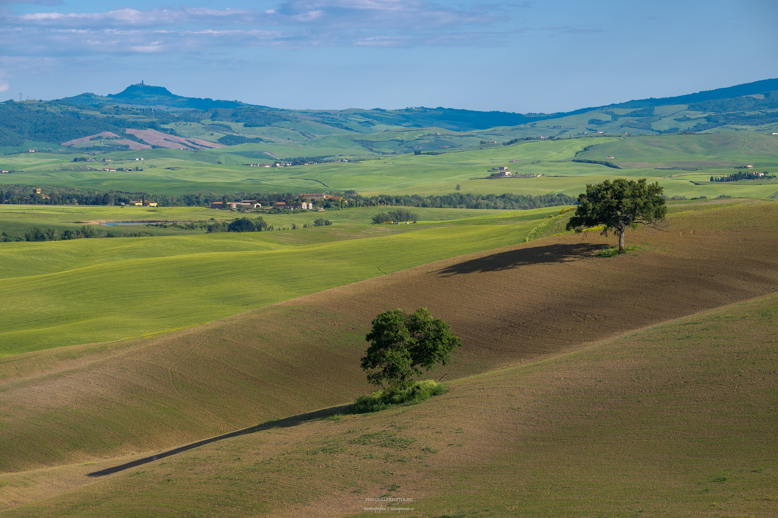 Путешествие сквозь красоту и вдохновение. Авторские стильные фотокартины