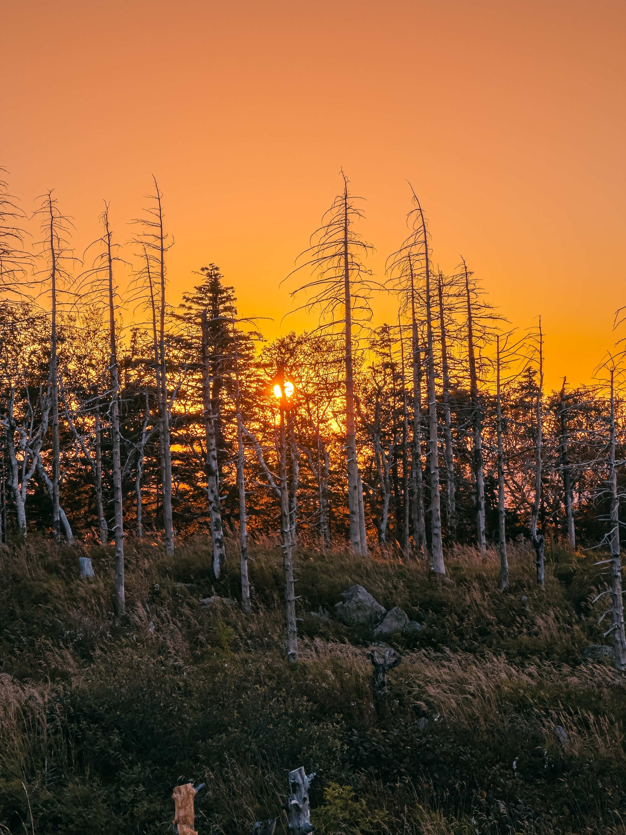 Гора Литовка (Фалаза). Иван Зайцев (IZIART) — создание культурного кода через фото и видео