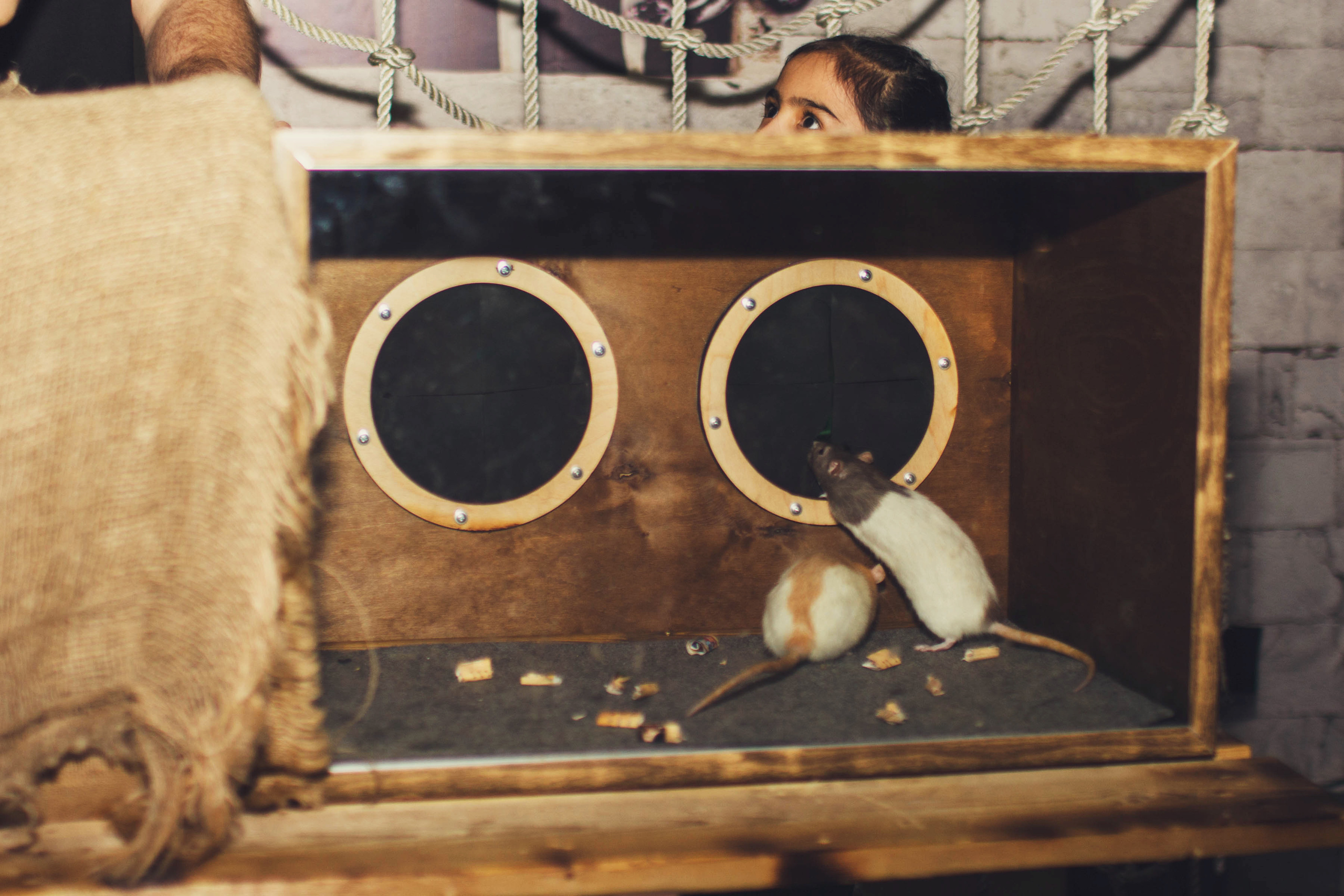 Сафине 8 лет. Детский и семейный фотограф в Москве