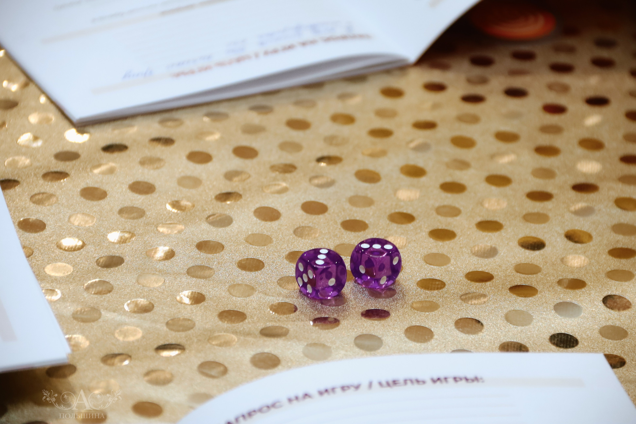 Бизнес-игра «Личный бренд. Активация». Фотограф в Смоленске Ася Польшина