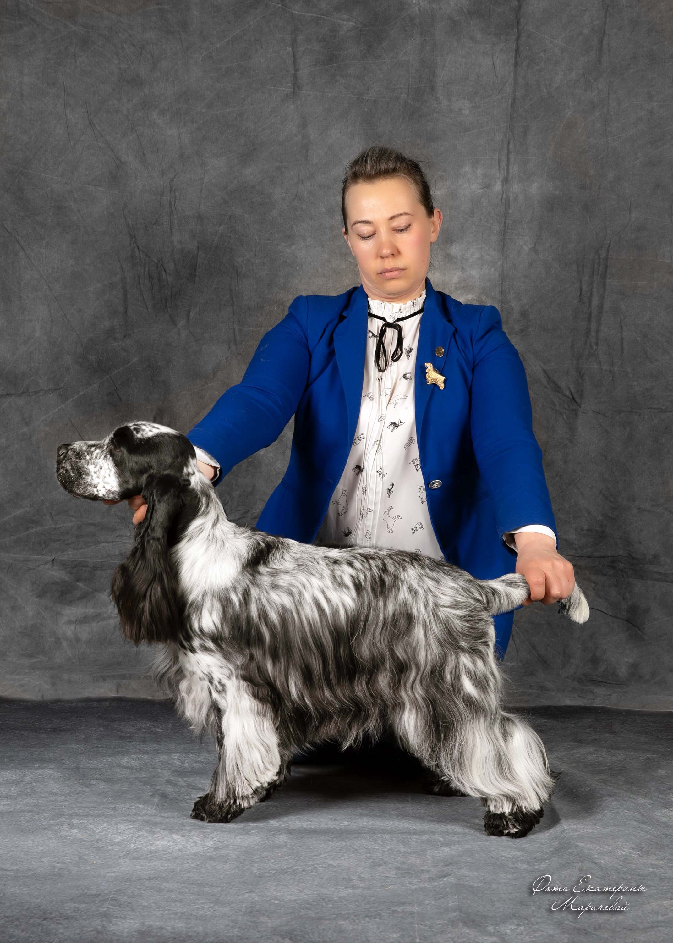 Фоны большого размера. Фотограф-анималист в Омске Екатерина Маричева