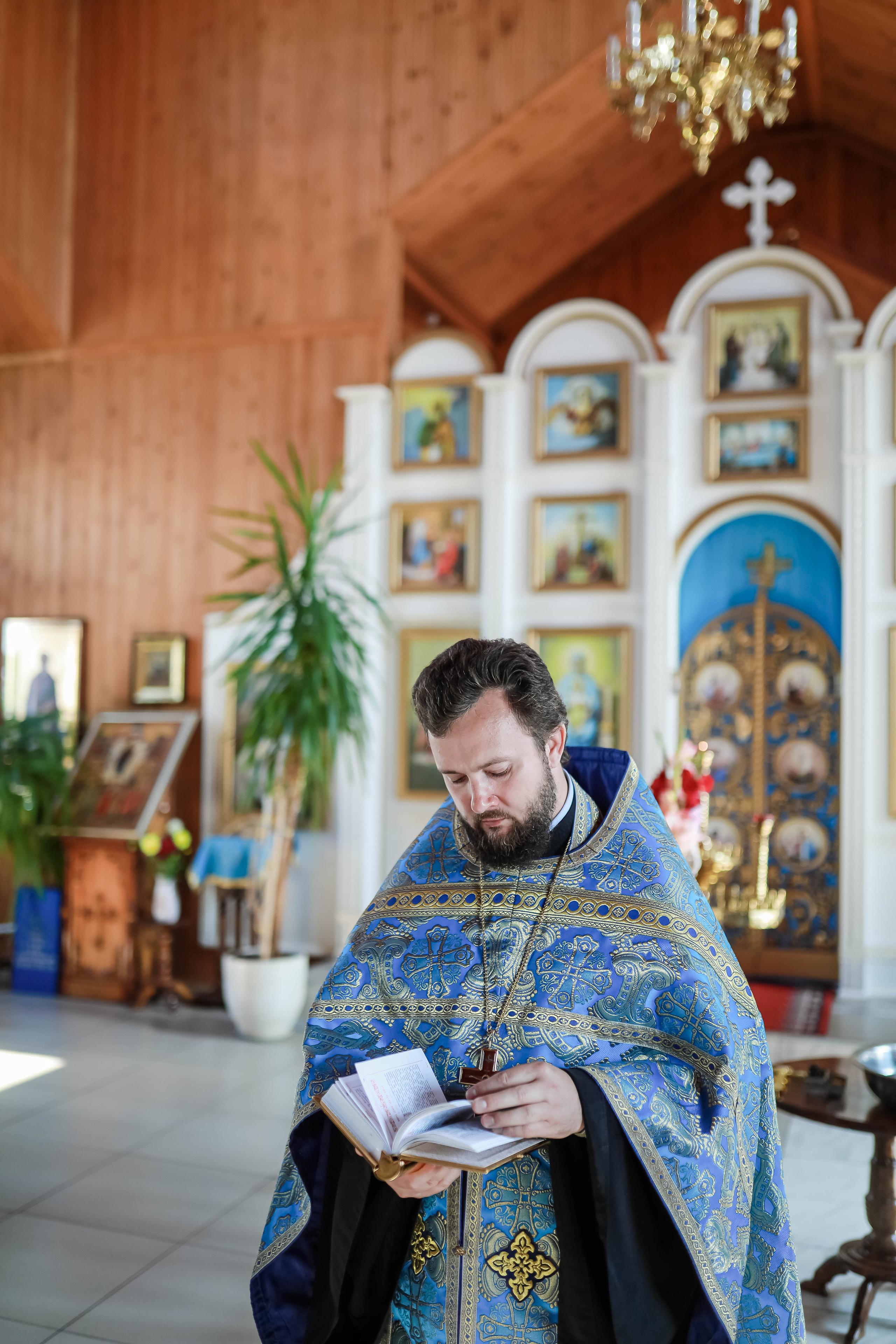 Фотосессии. Школьный и свадебный фотограф Екатерина Салмина