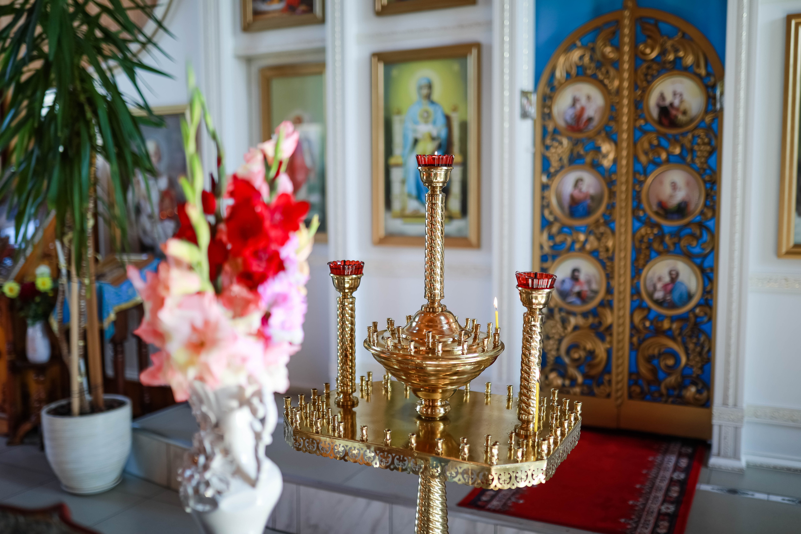 Фотосессии. Школьный и свадебный фотограф Екатерина Салмина