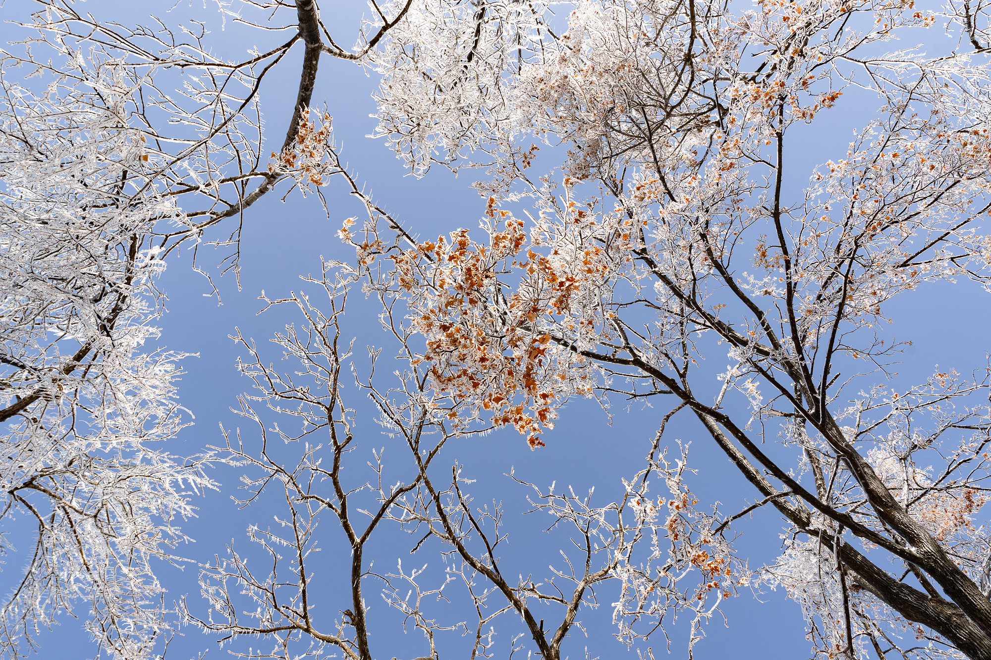 Во власти снега и льда. Фотограф во Владивостоке Антон Блохин