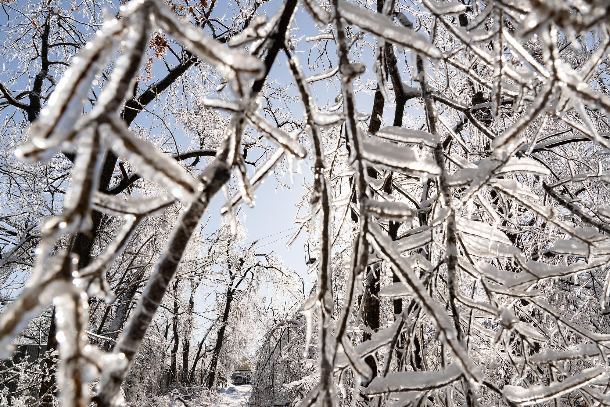 Во власти снега и льда. Фотограф во Владивостоке Антон Блохин