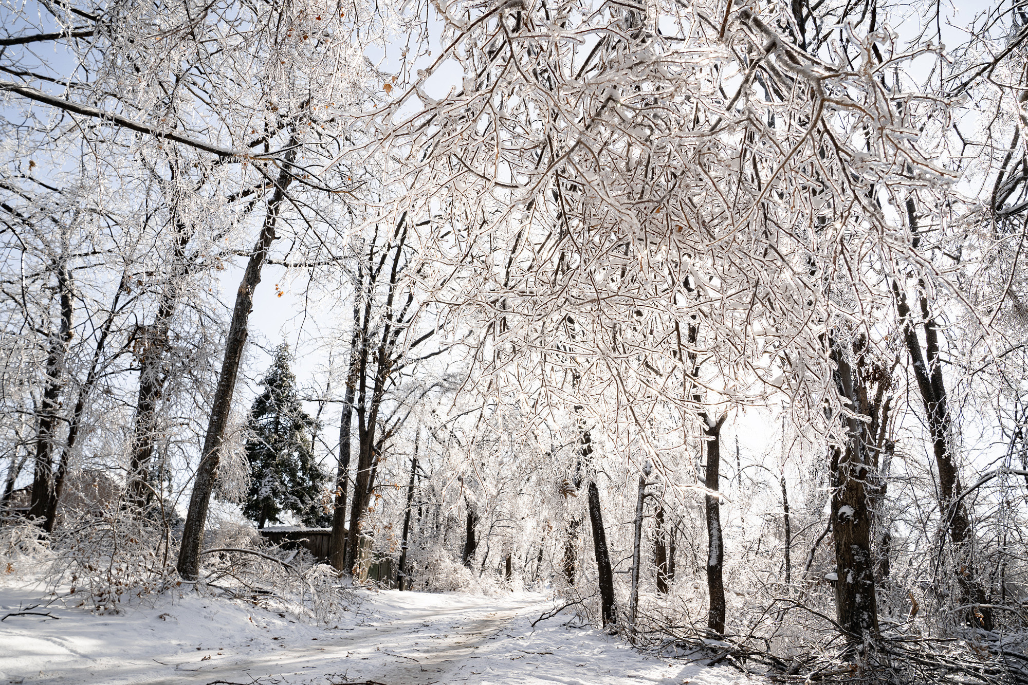Во власти снега и льда. Фотограф во Владивостоке Антон Блохин