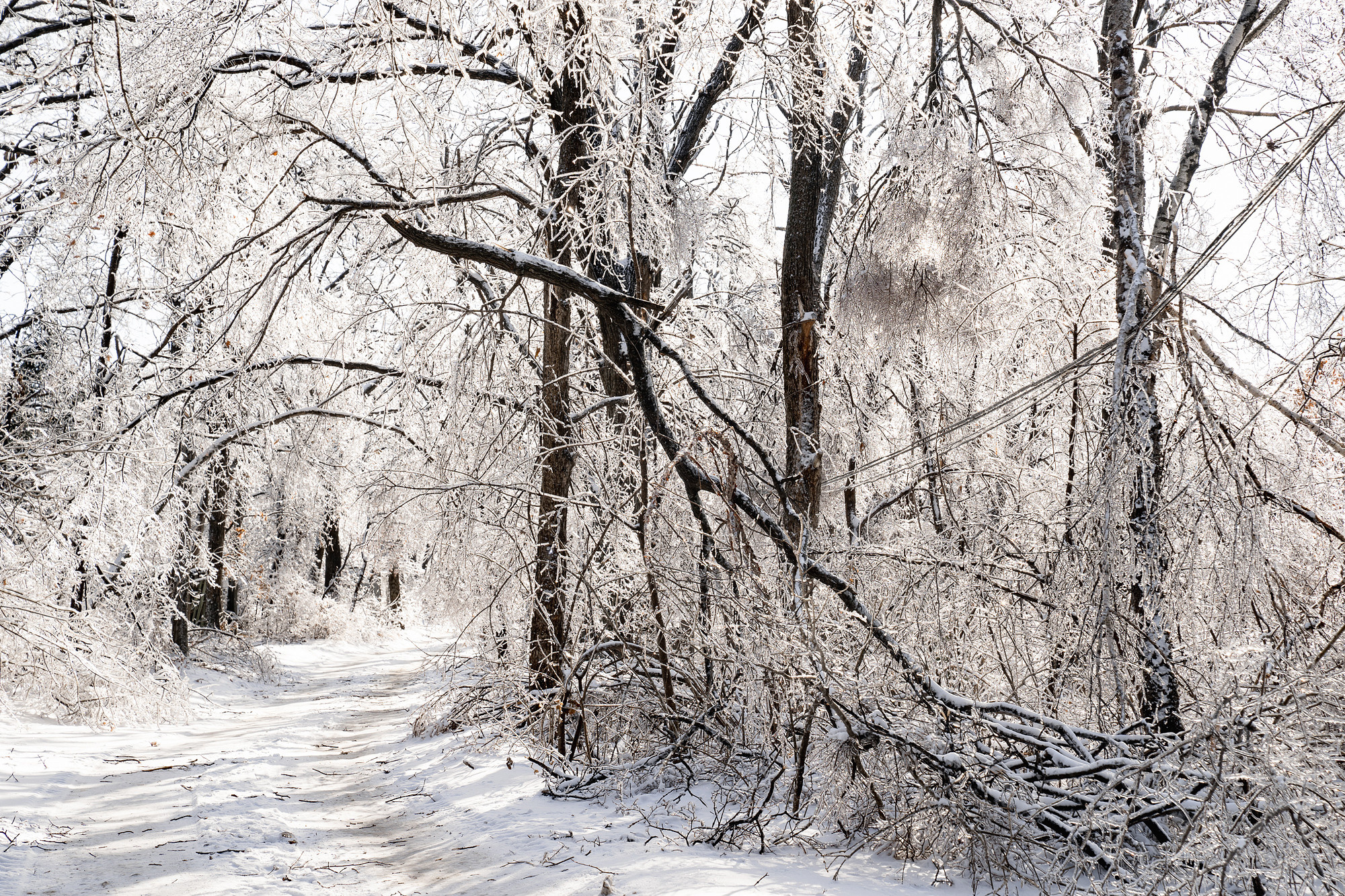 Во власти снега и льда. Фотограф во Владивостоке Антон Блохин