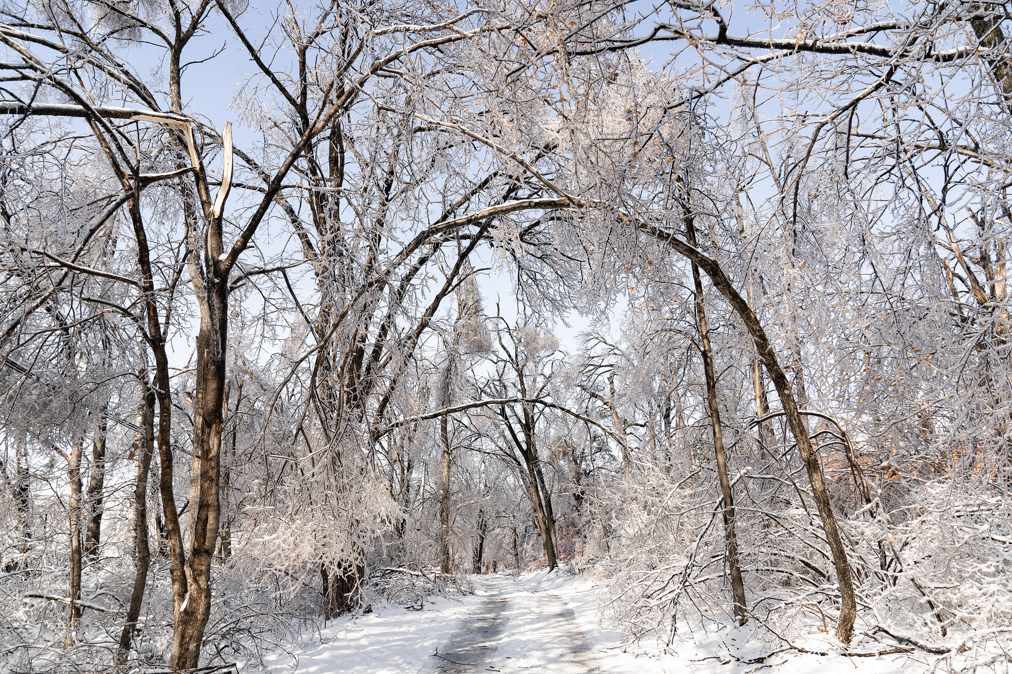 Во власти снега и льда. Фотограф во Владивостоке Антон Блохин