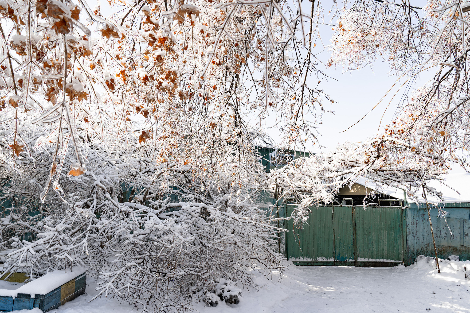 Во власти снега и льда. Фотограф во Владивостоке Антон Блохин