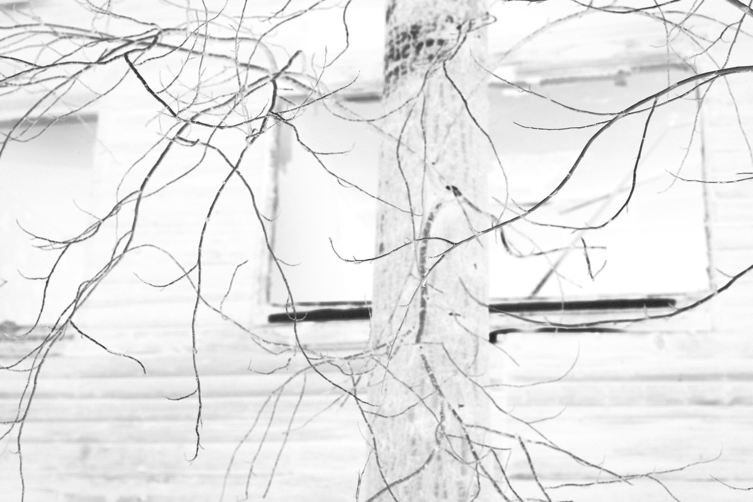 Через Черем. Veronika Popadeikina Photographer