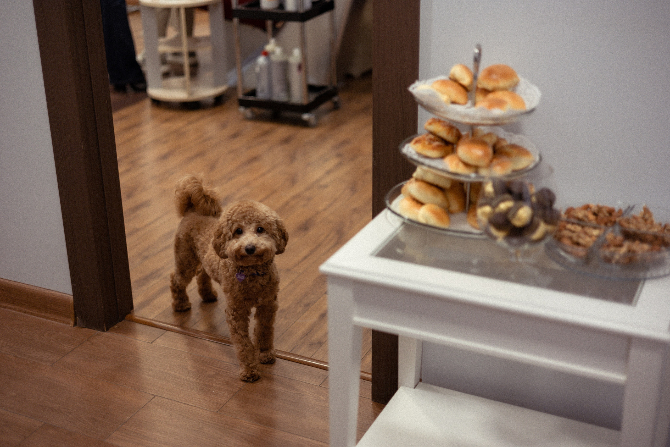 Съемка мероприятий. Фотограф в Москве Дарья Гоглева
