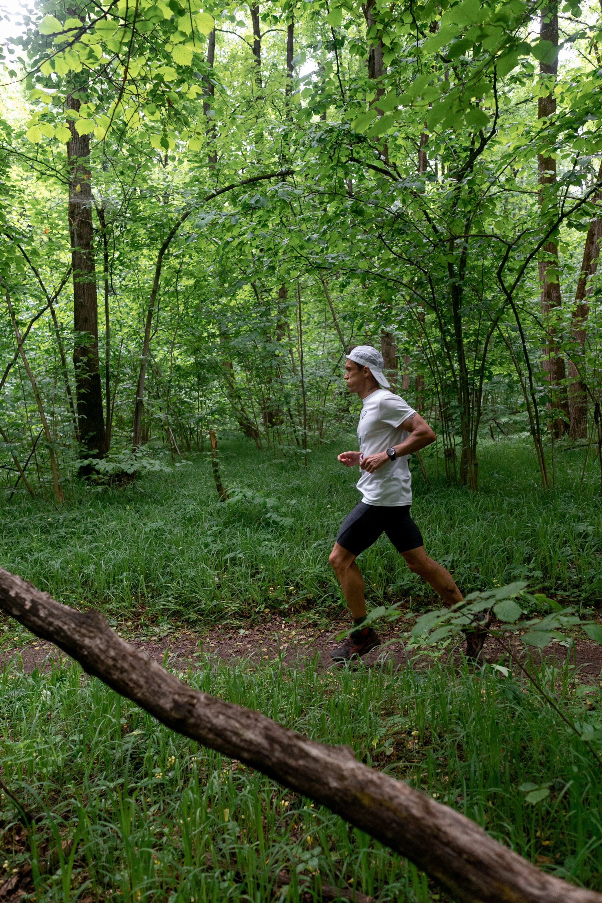 CityTrail Ромашково