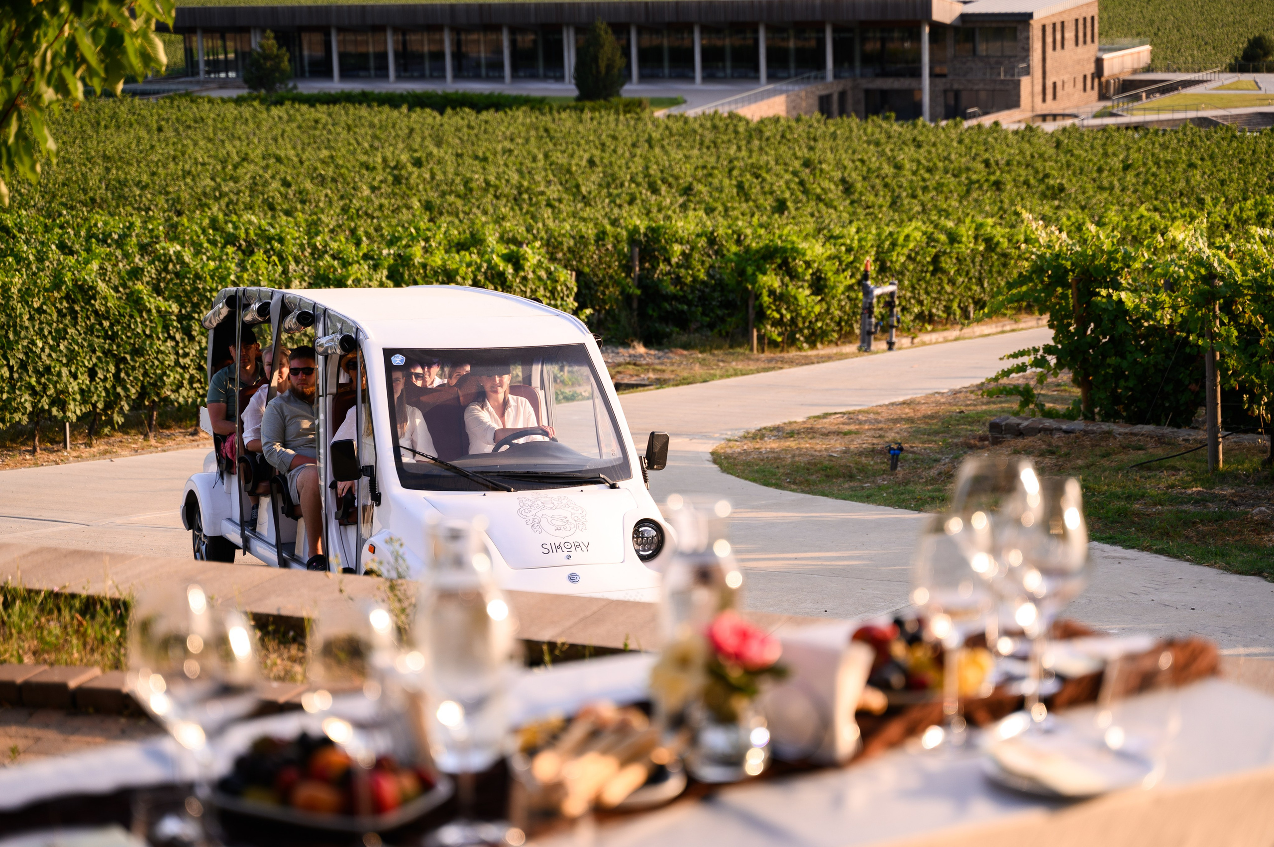 Репортажный фотограф Сочи