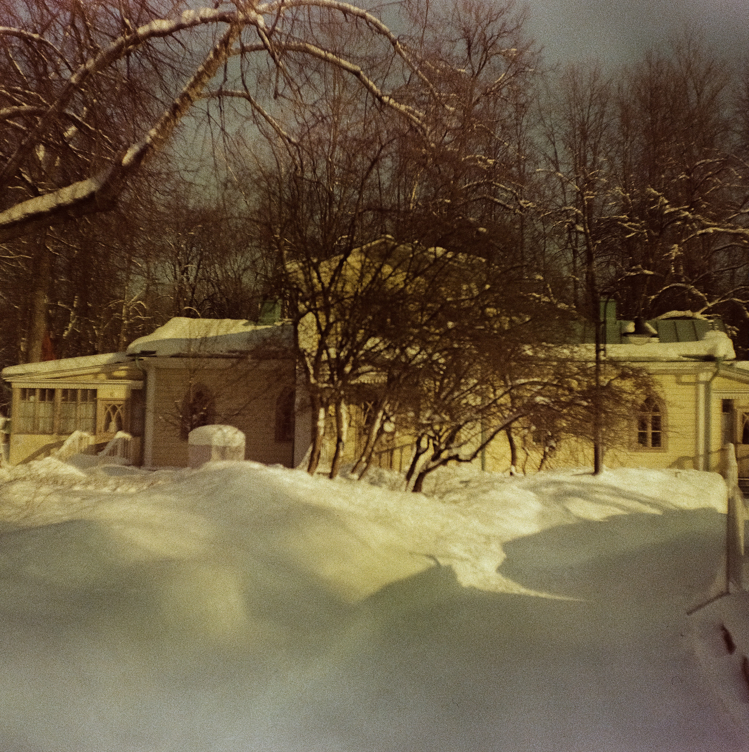 Kodak Ektachrome 64T / Franka Solida III / Архангельское, Лукино