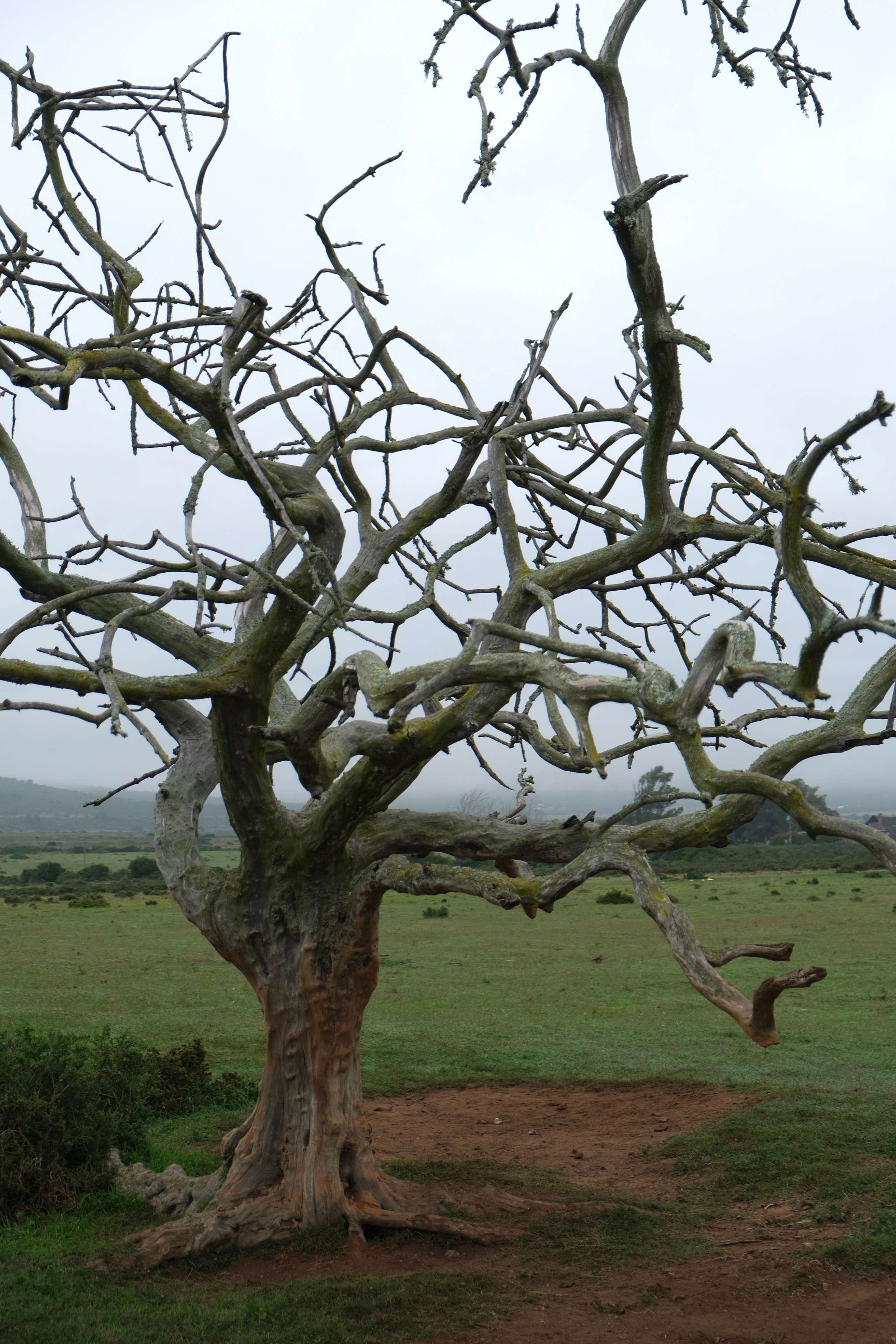 Nataresso | фотограф Москва