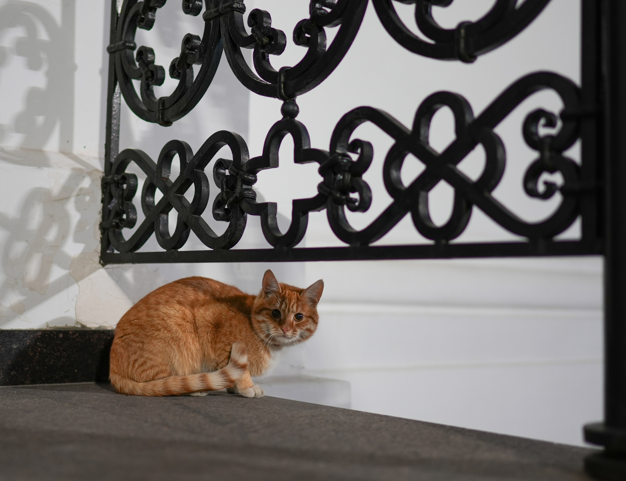 Пасха в Егорьевске 2024. Фотограф Антон Кириллов