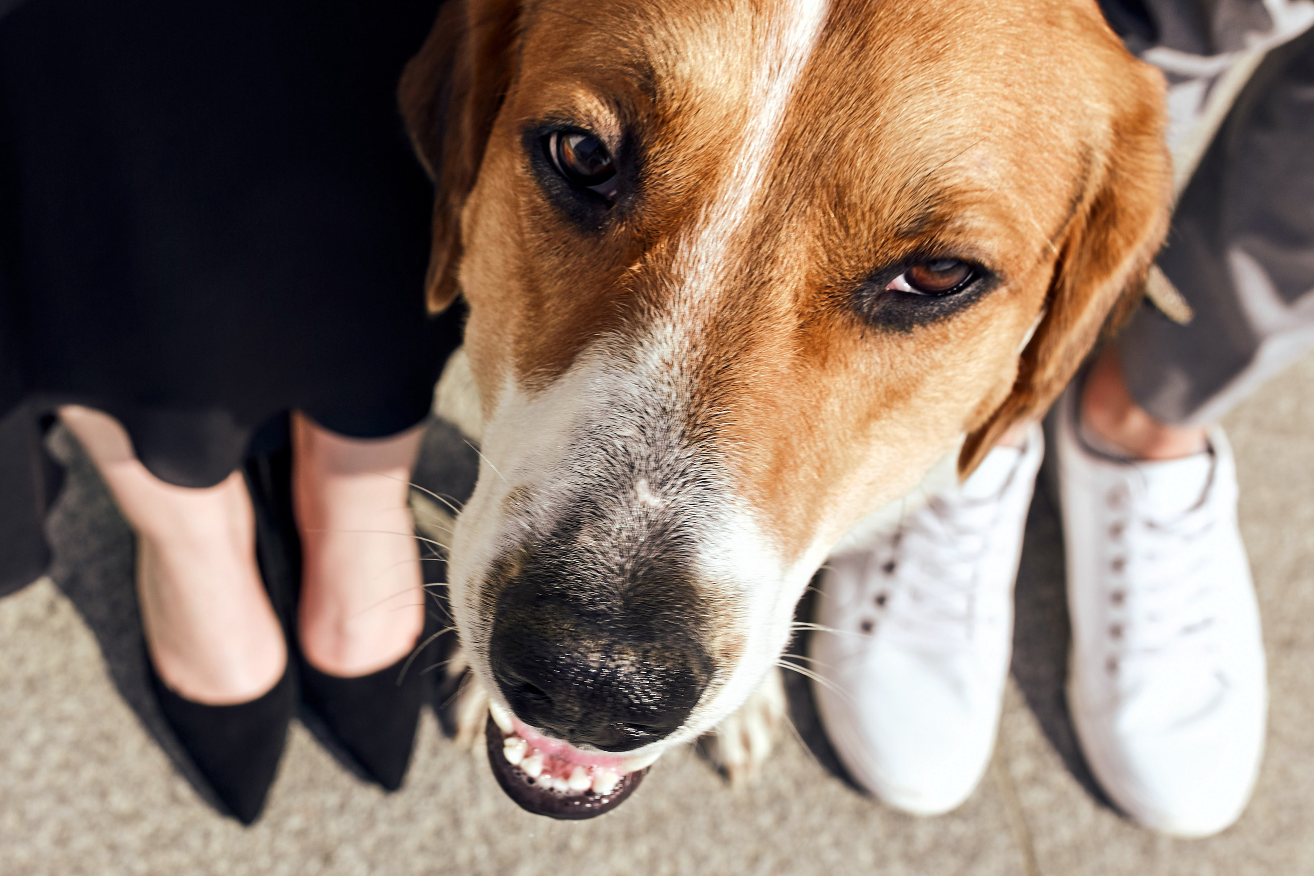 Самые зажигательные истории из своей практики рассказываю в блоге.