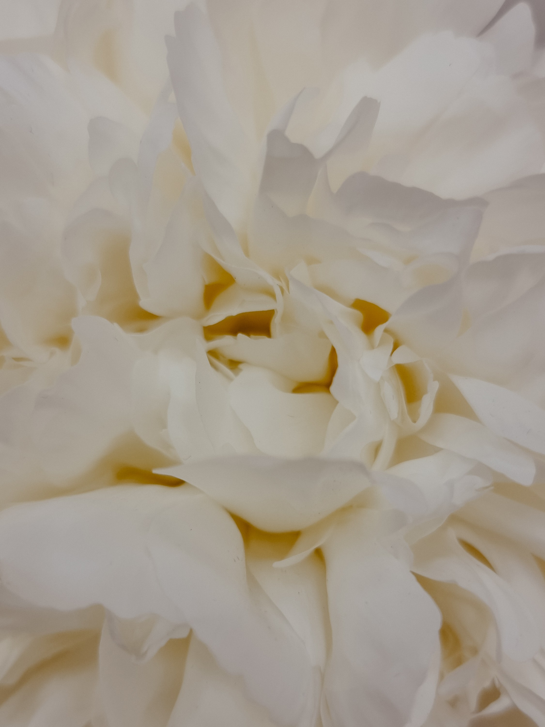 Фотограф из Санкт-Петербурга/Катерина Зайцева