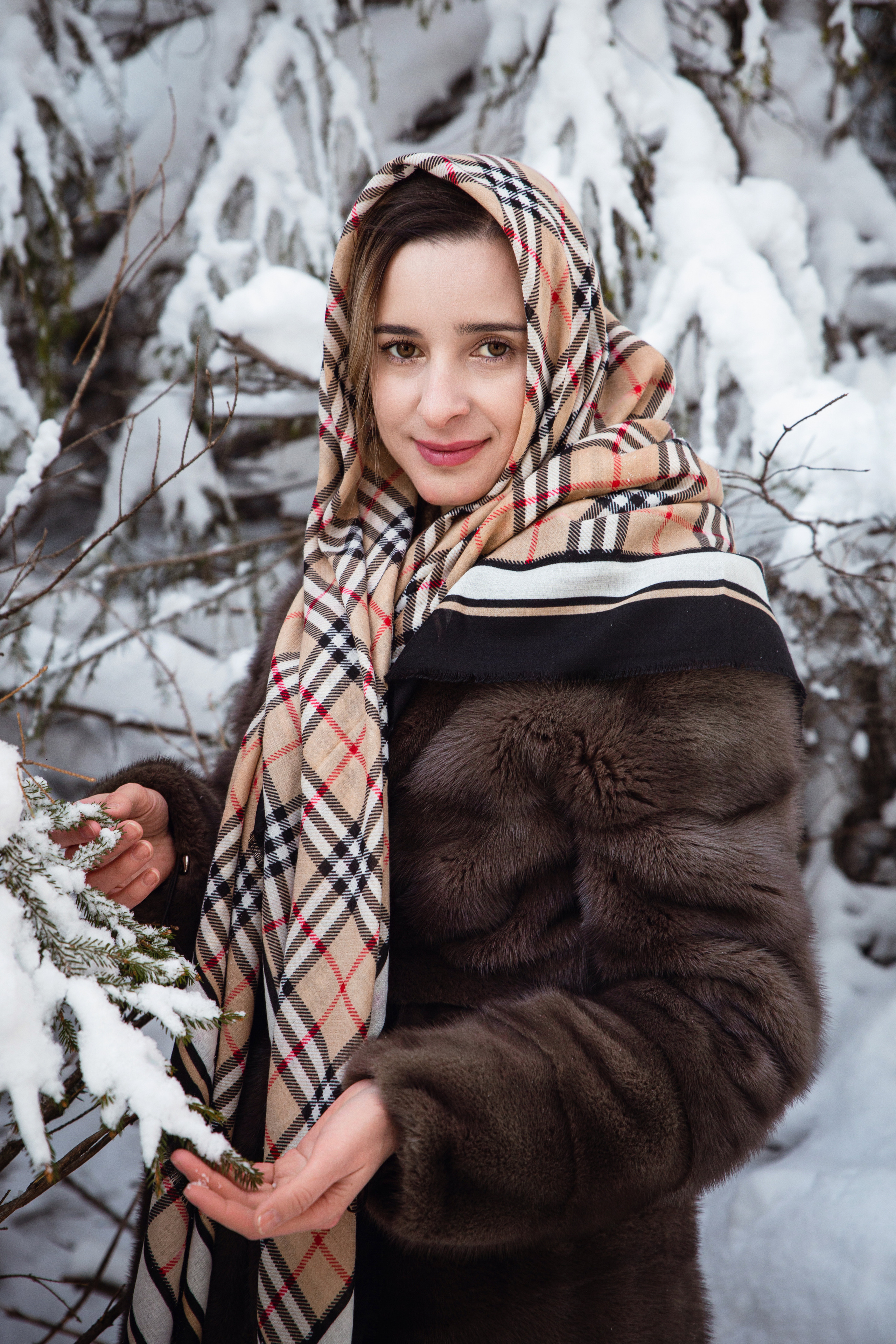 Камчатские елочки. Фотограф Камчатка