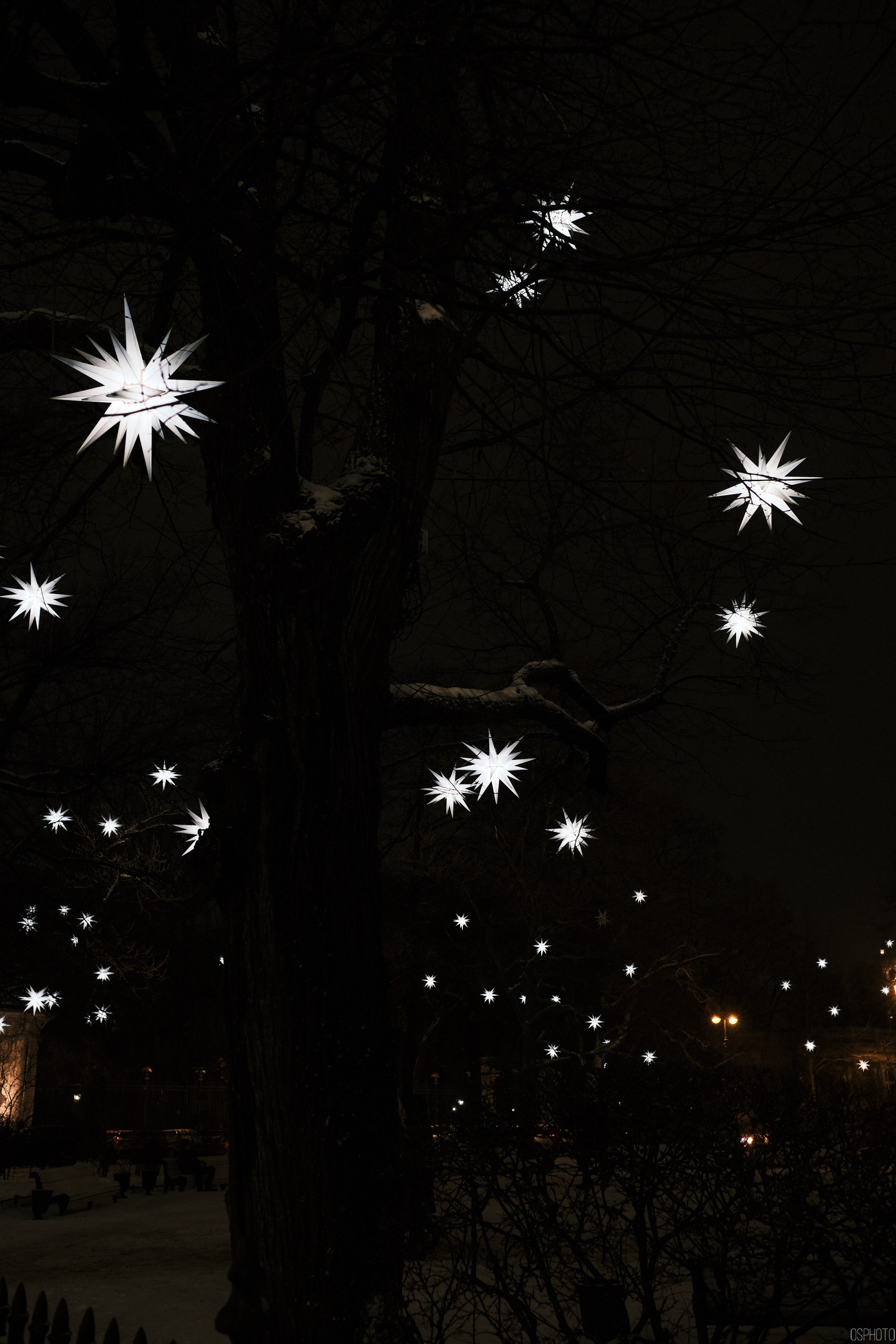 Снег и туман в Санкт-Петербурге. Фотографъ Сергѣевъ. Поймать мгновеніе