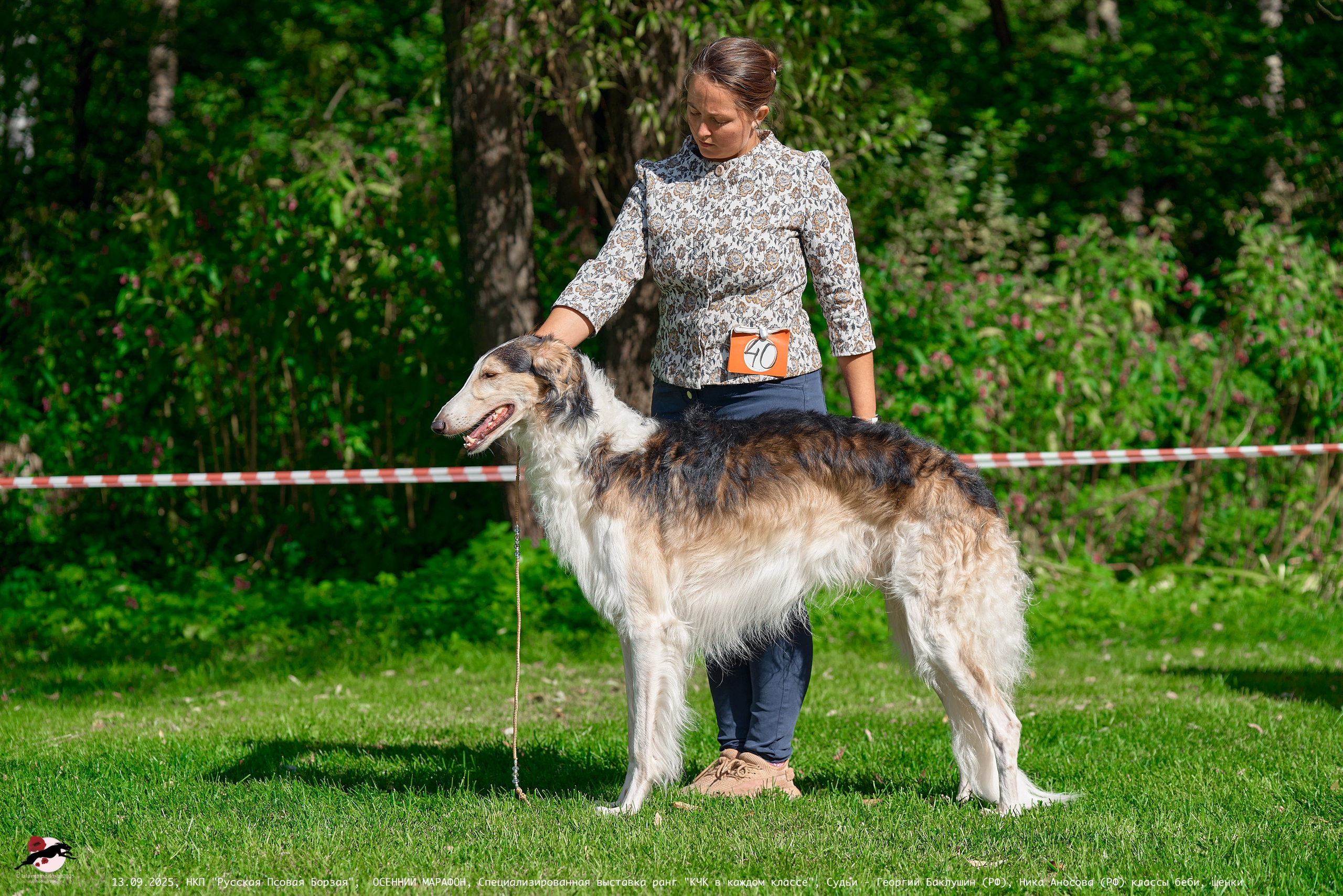 ОСЕННИЙ МАРАФОН | Специализированная выставка породы Русская Псовая Борзая ранг "КЧК в каждом классе"