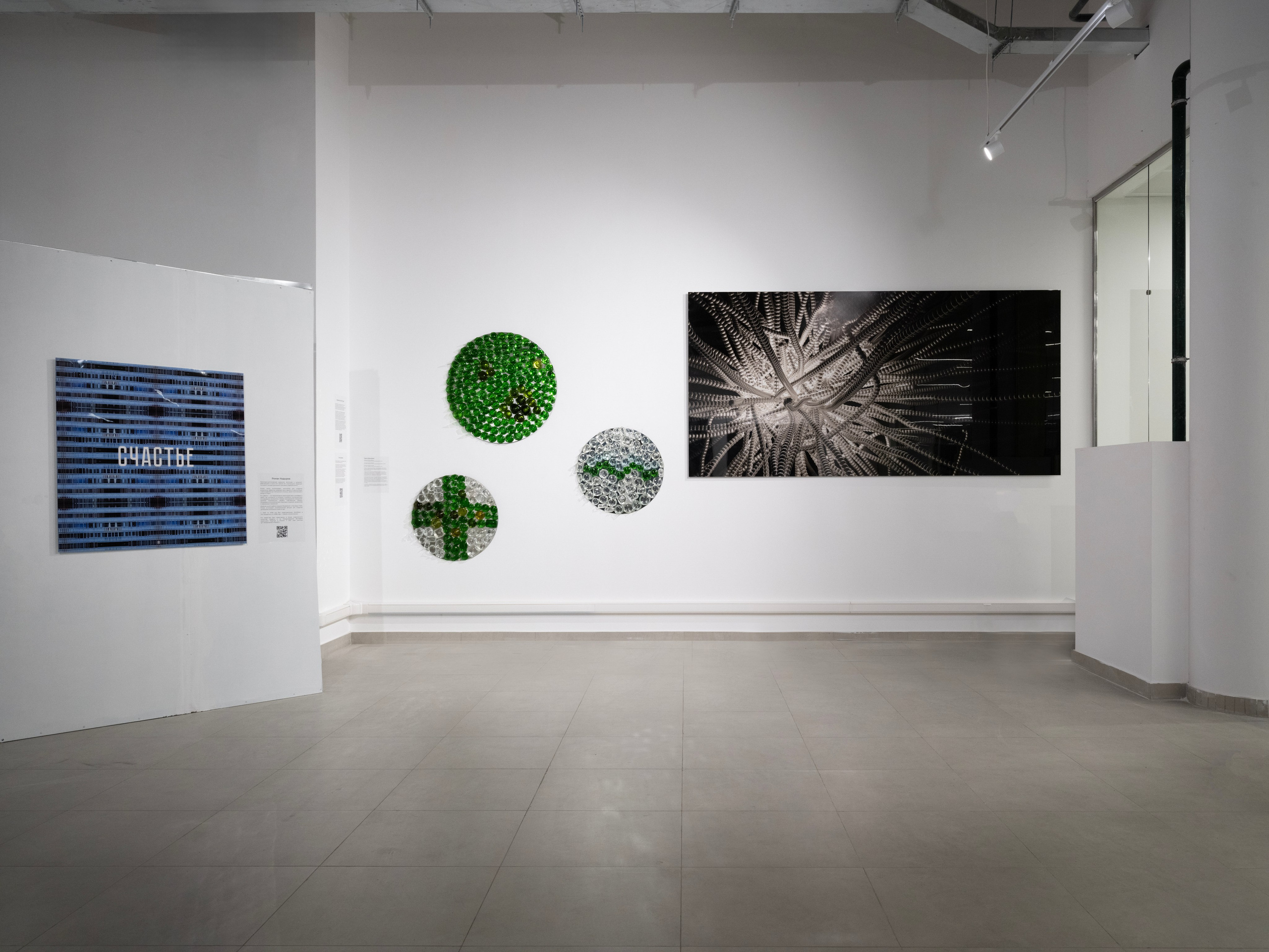 Дивный сад. Елизавета Иванова — независимый куратор, культуролог, исследователь художественных практик, художник