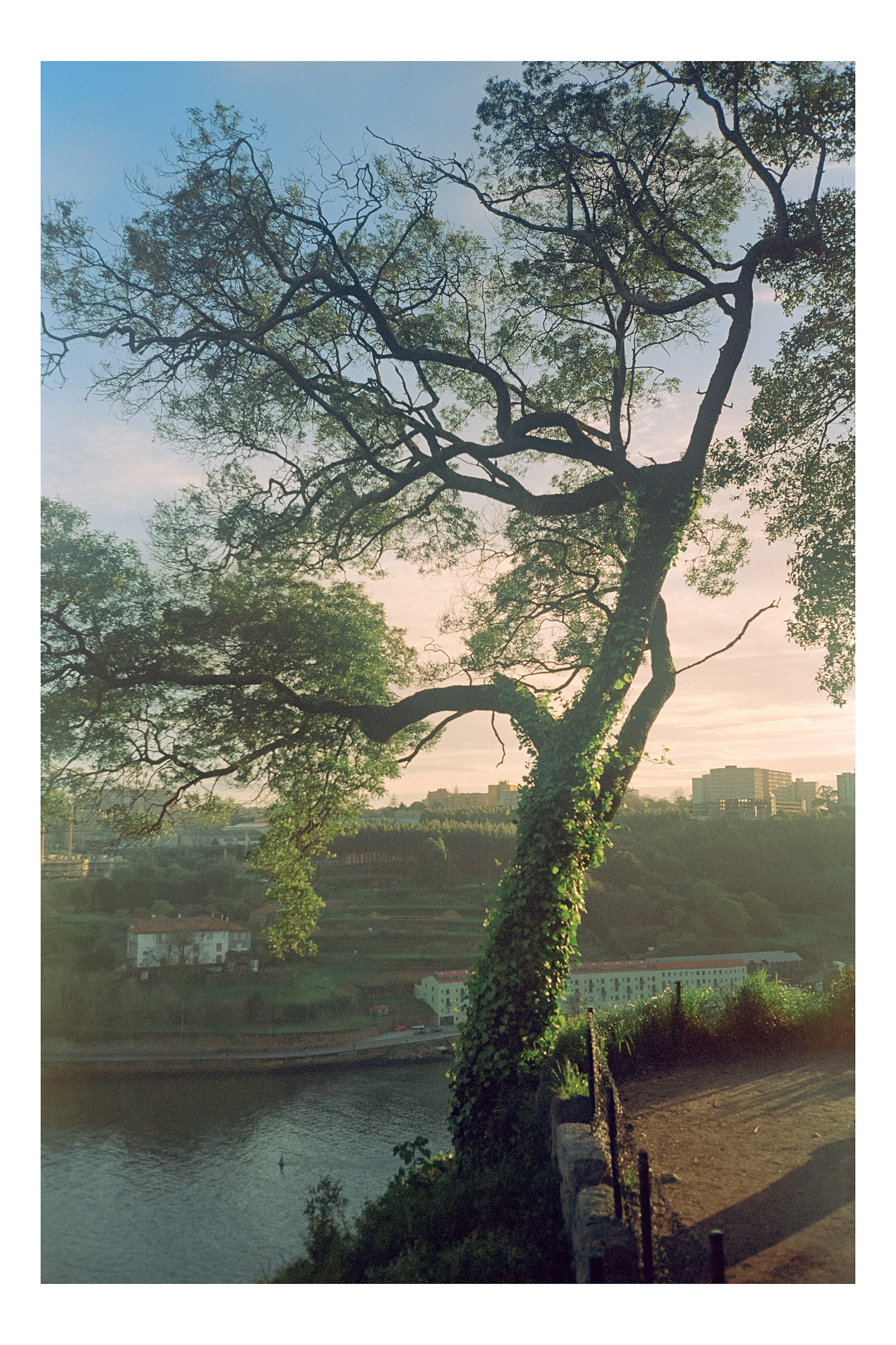 Prints and postcards. Porto Photographer Kristina Brazhnikova