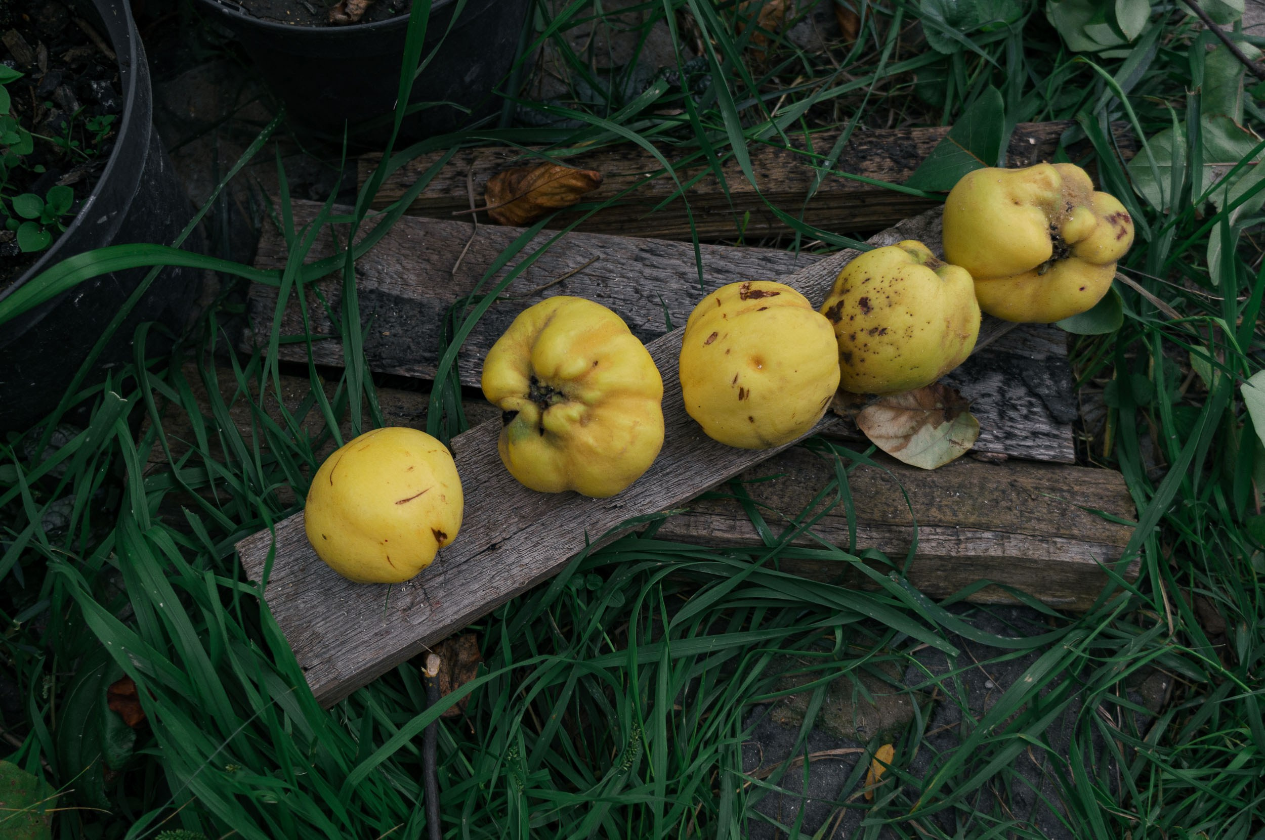 Визуальные заметки
