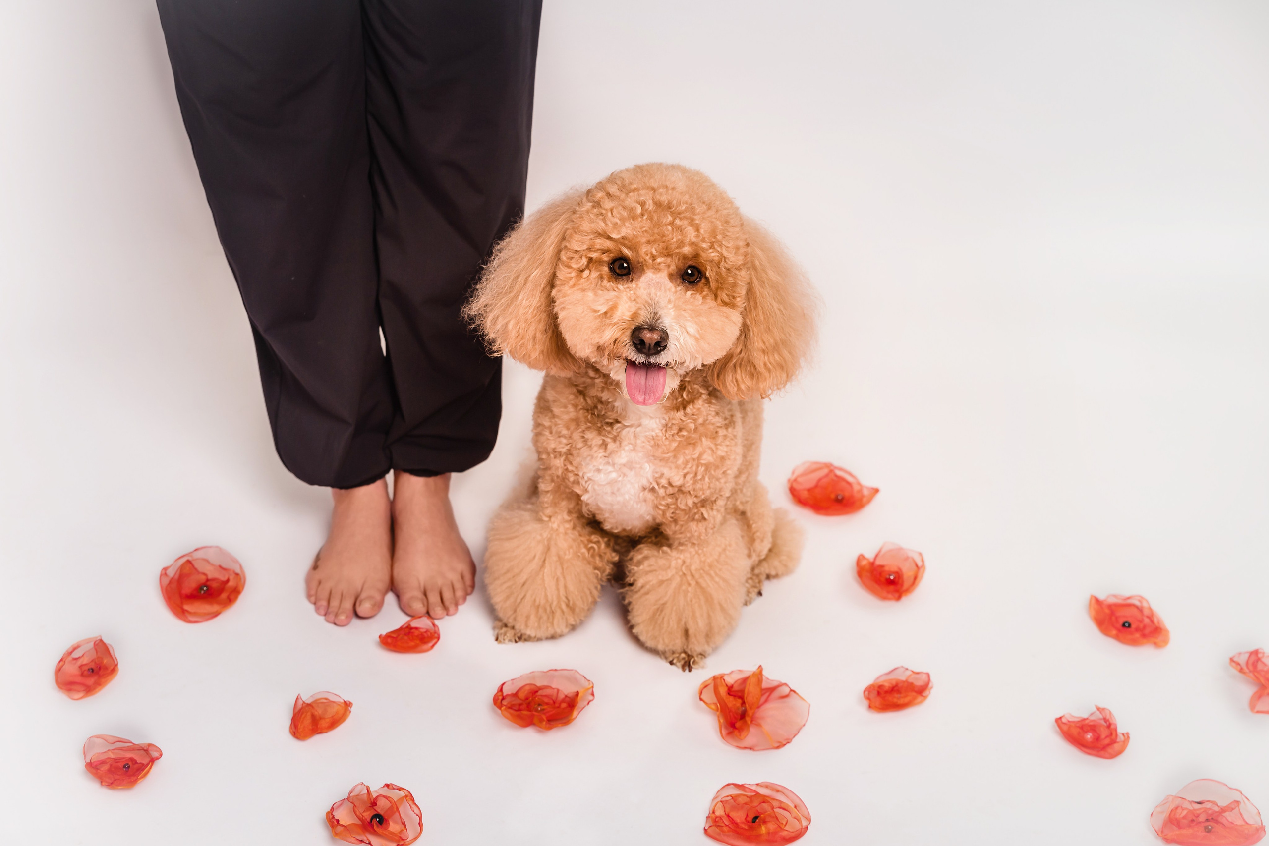 📝Blog. Professional family and children’s photographer in Izmir Irina Eron
