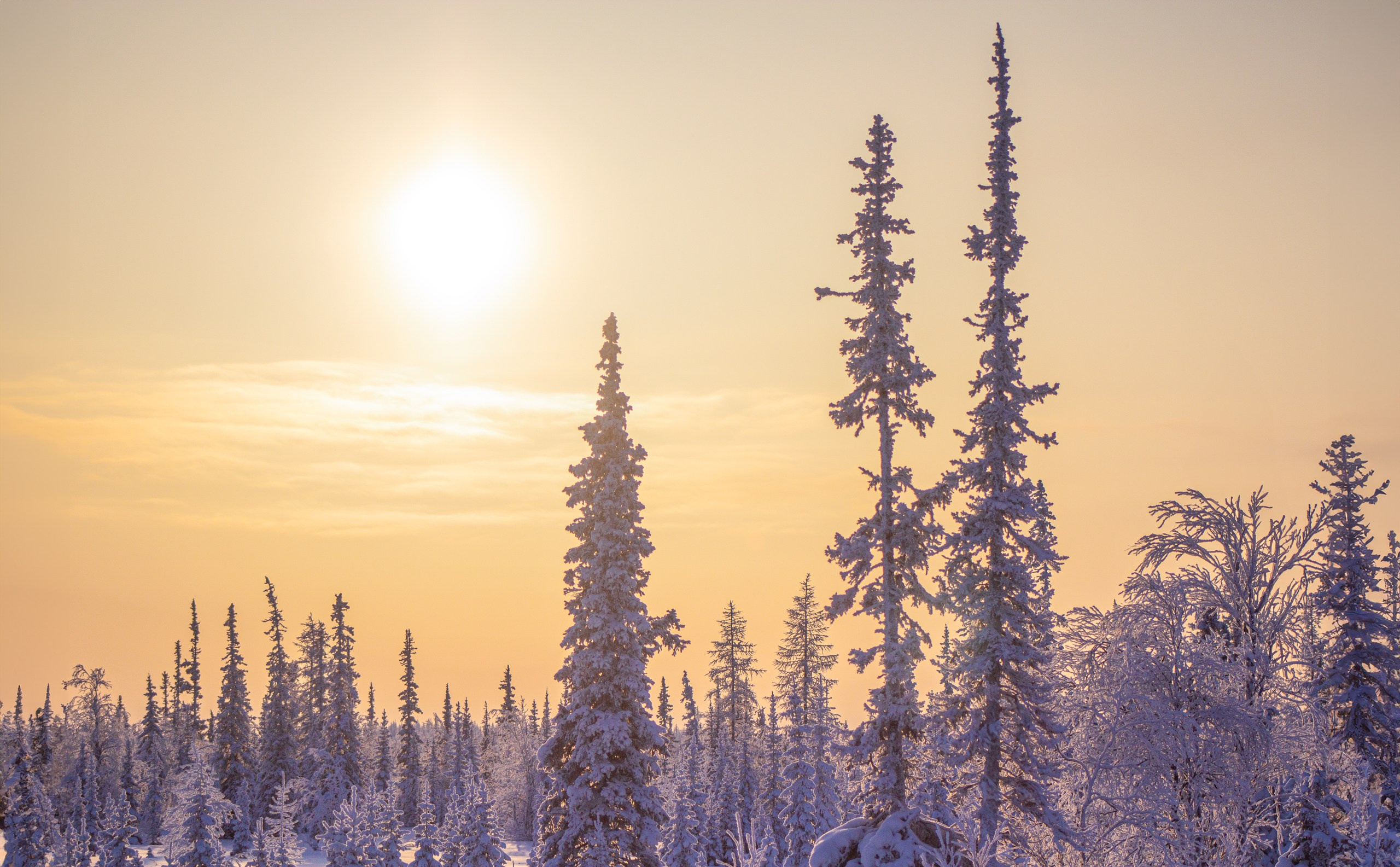 Фотографии пейзажей и архитектуры
